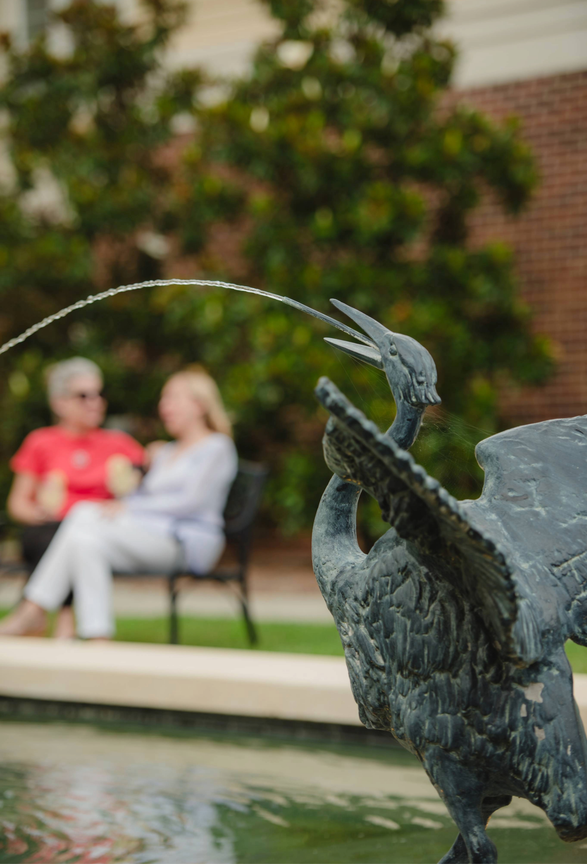 Brightmore of South Charlotte, Charlotte, NC 11