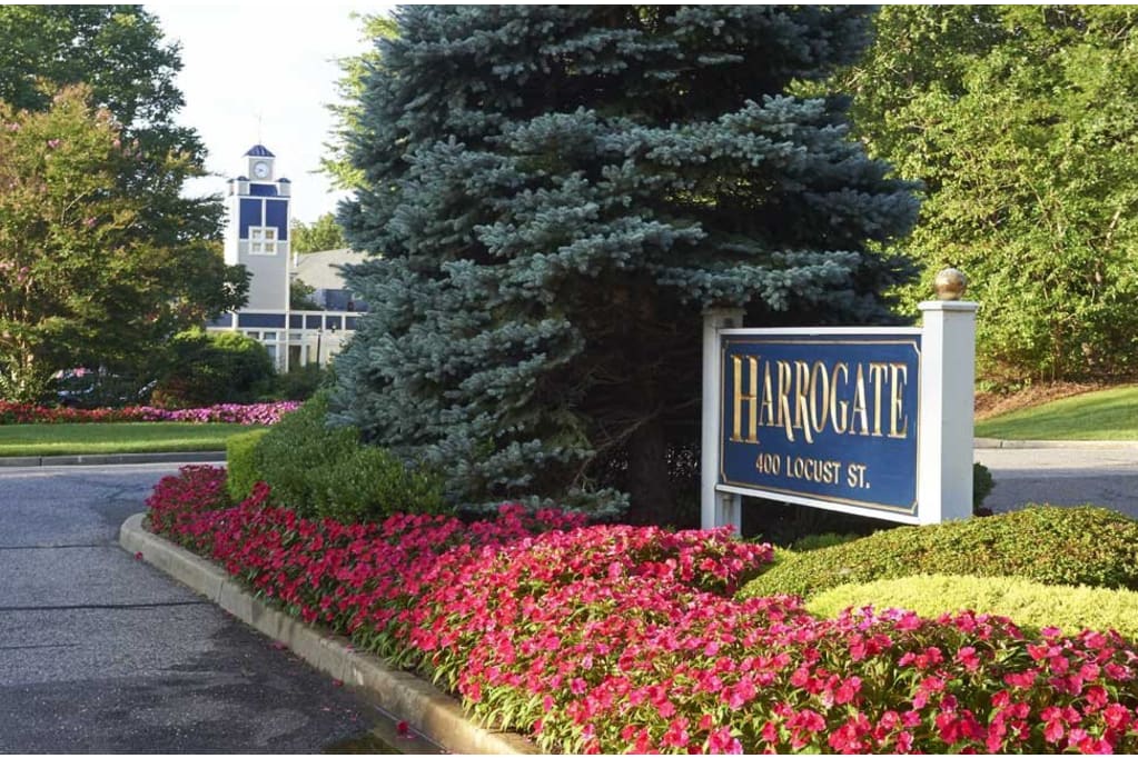 Harrogate, Lakewood, NJ 10