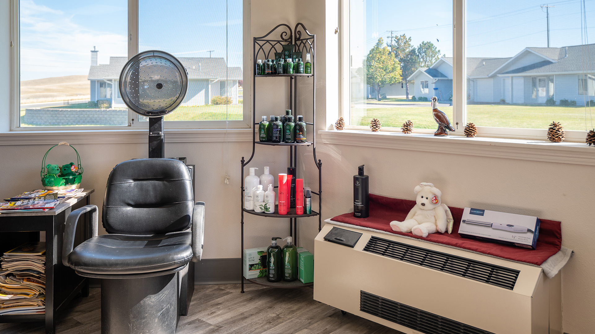 Helena Pointe Senior Independent Living, Helena, MT 10