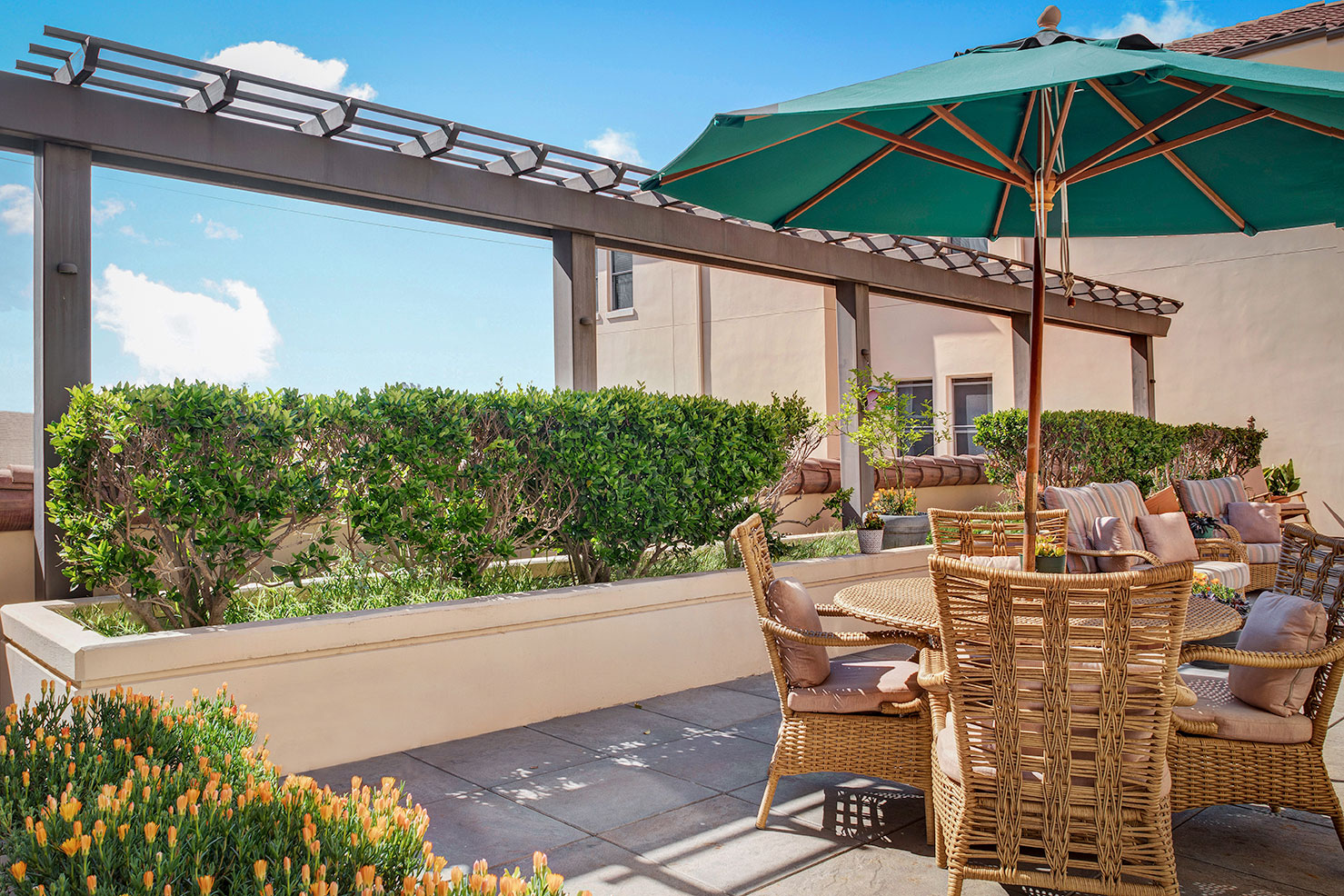 Ivy Park at Santa Monica, Santa Monica, CA 9