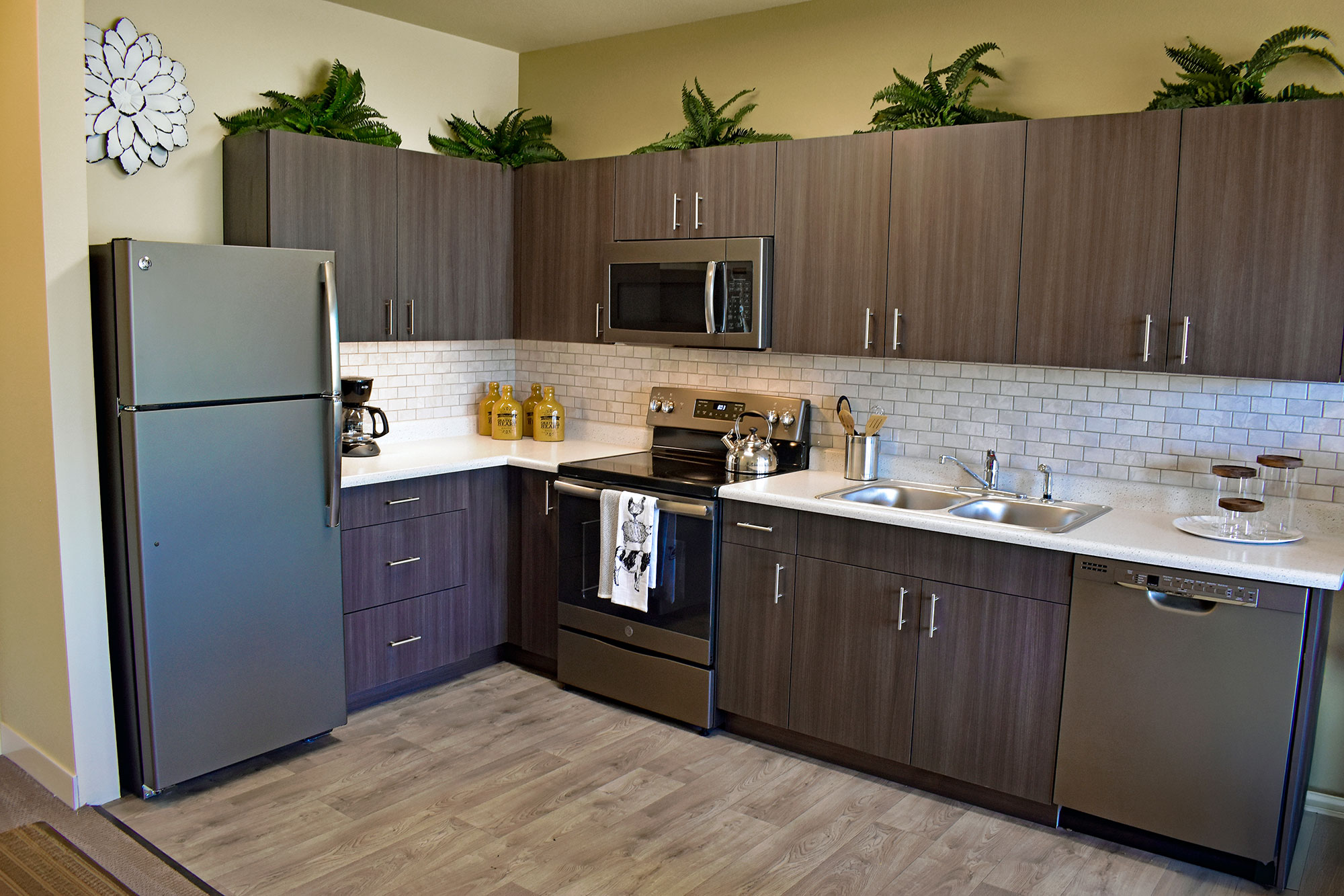 The Ivy Thornton, Thornton, CO 3