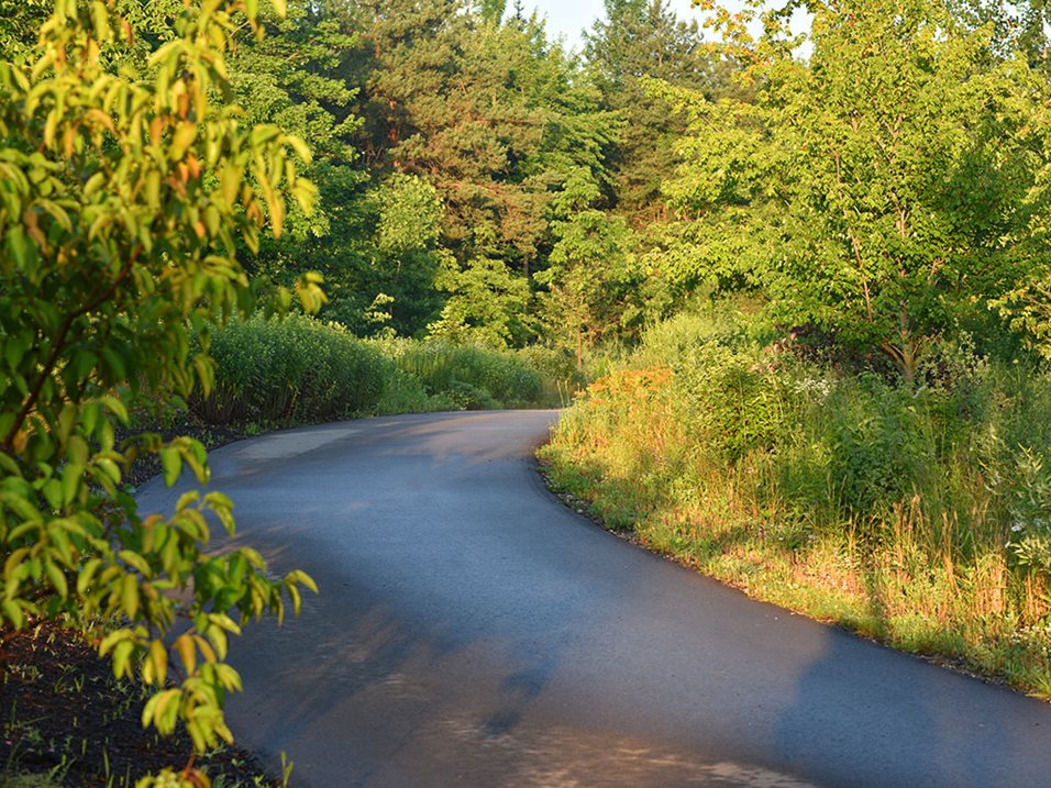 Rose Senior Living – Providence Park, Novi, MI 5