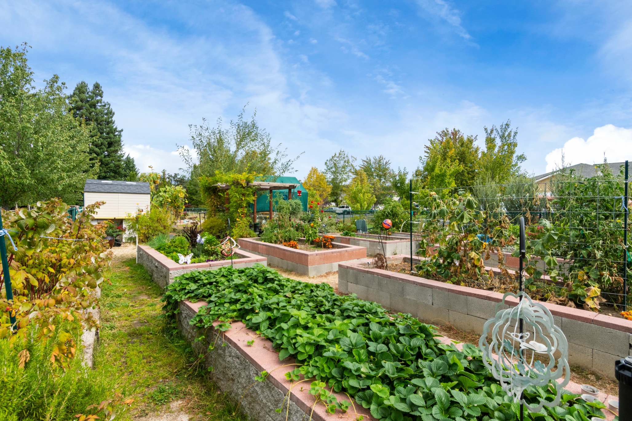 Cascades of Grants Pass, Grants Pass, OR 16