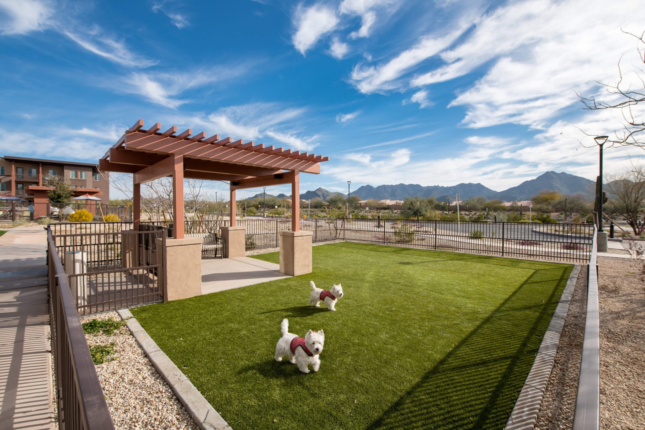 Revel McDowell Mountain, Scottsdale, AZ 23