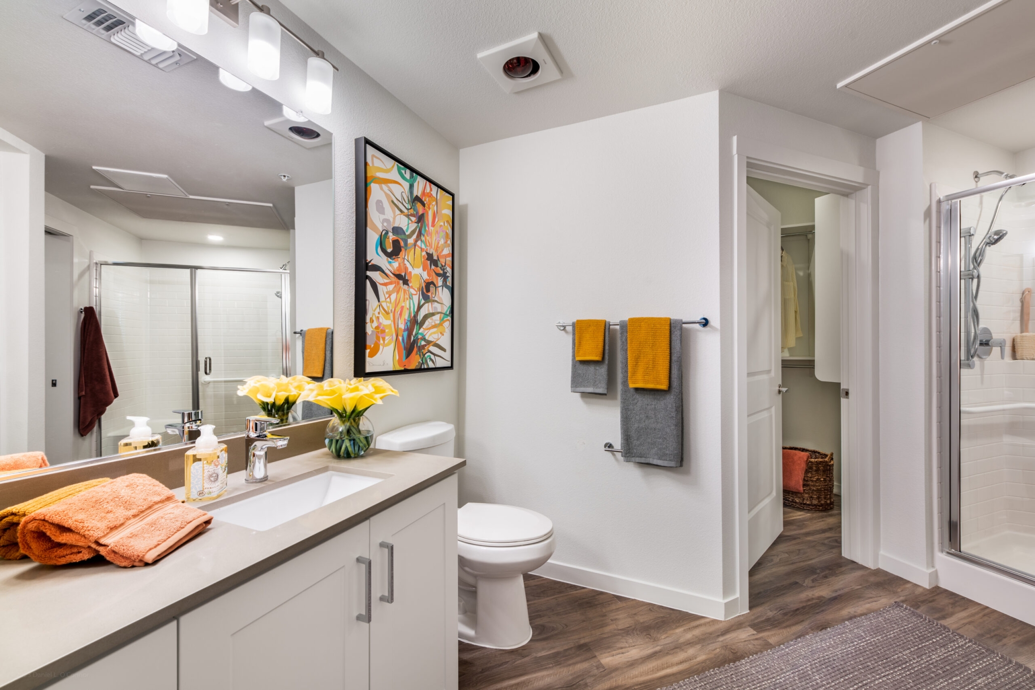 Revel McDowell Mountain, Scottsdale, AZ 29