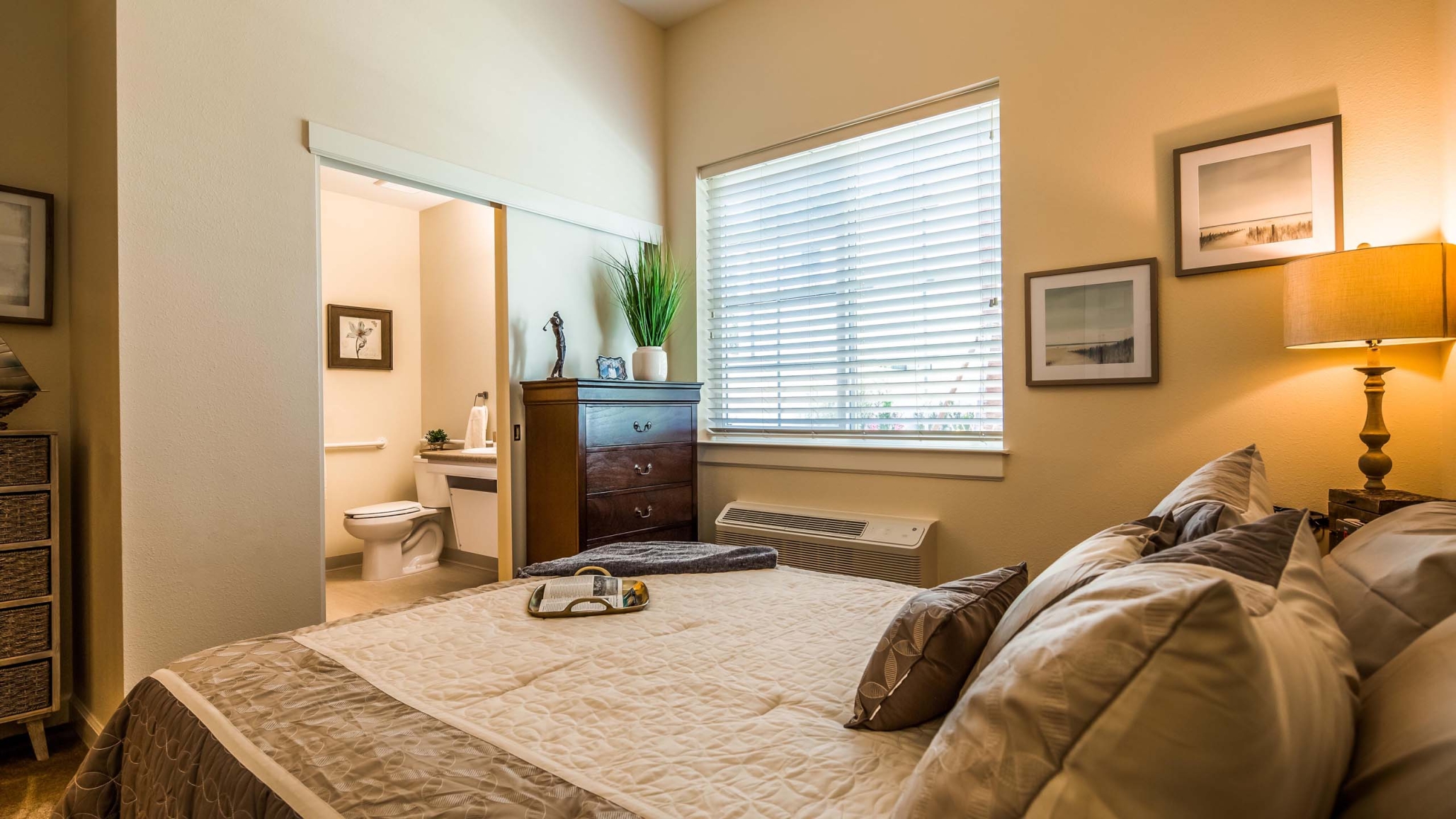 The Windsor of Gainesville, Gainesville, FL 13