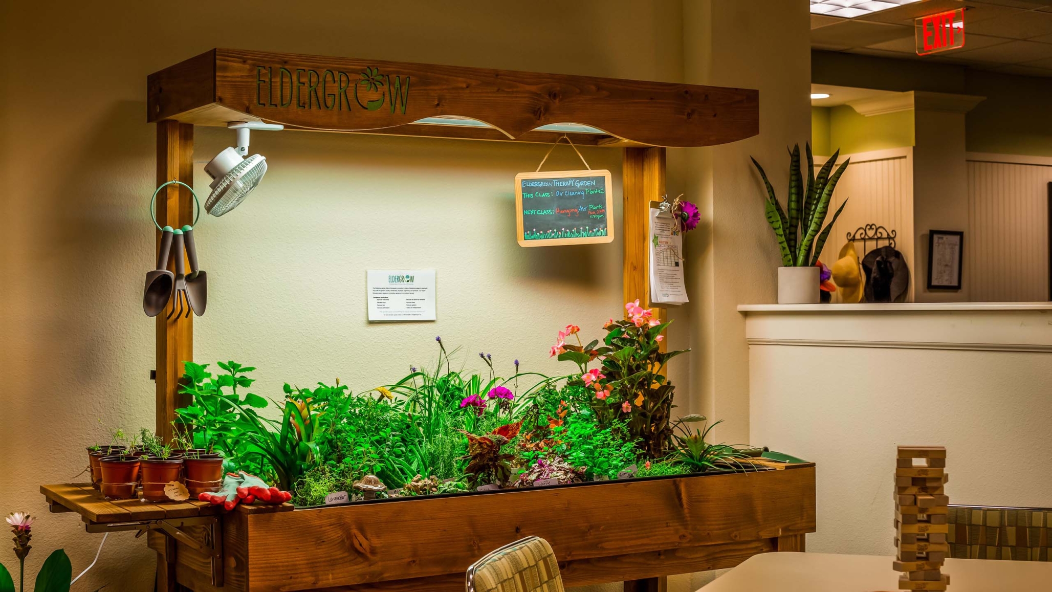 The Windsor of Gainesville, Gainesville, FL 9