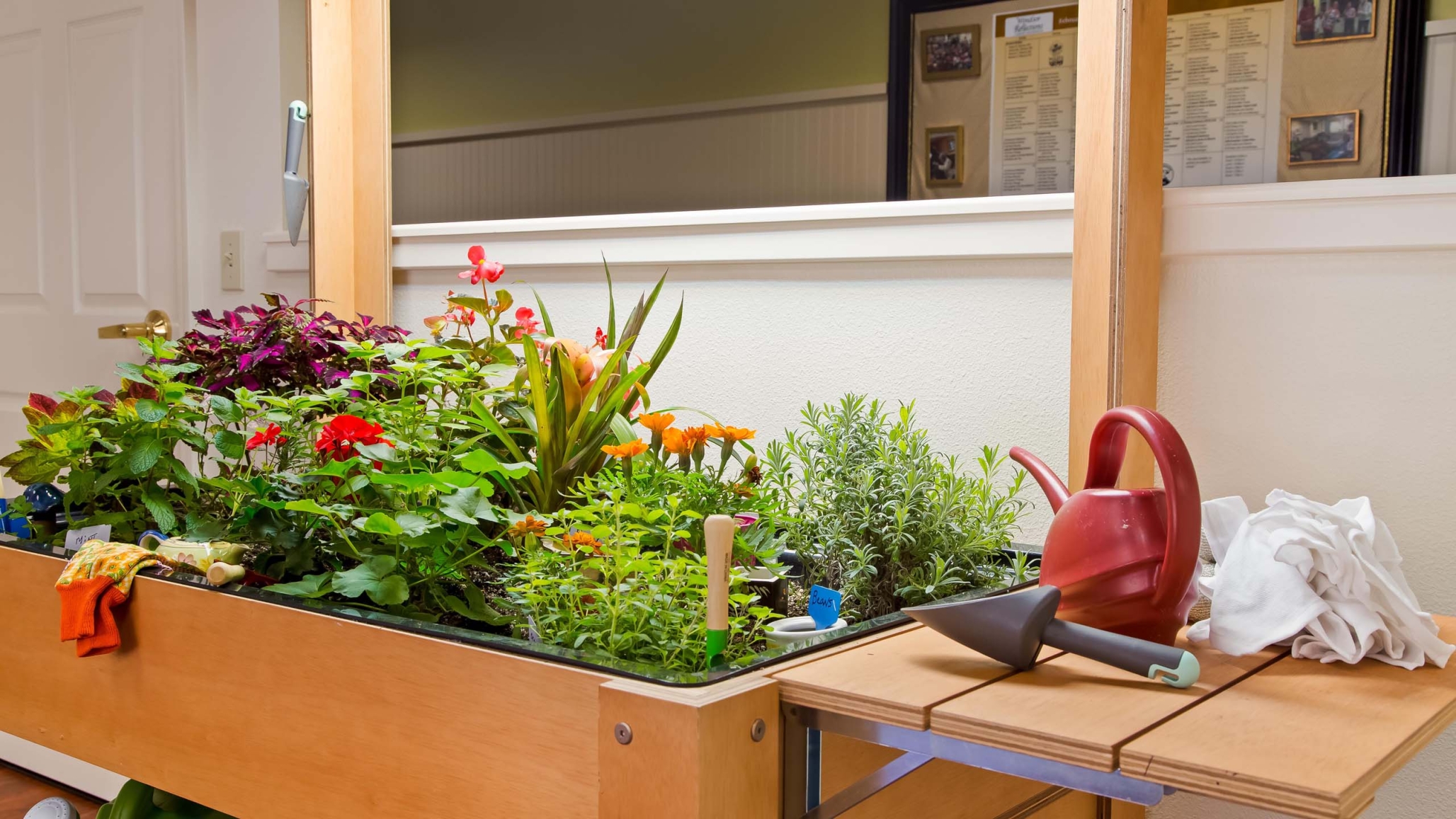 Windsor Reflections, Lakewood Ranch, FL 11