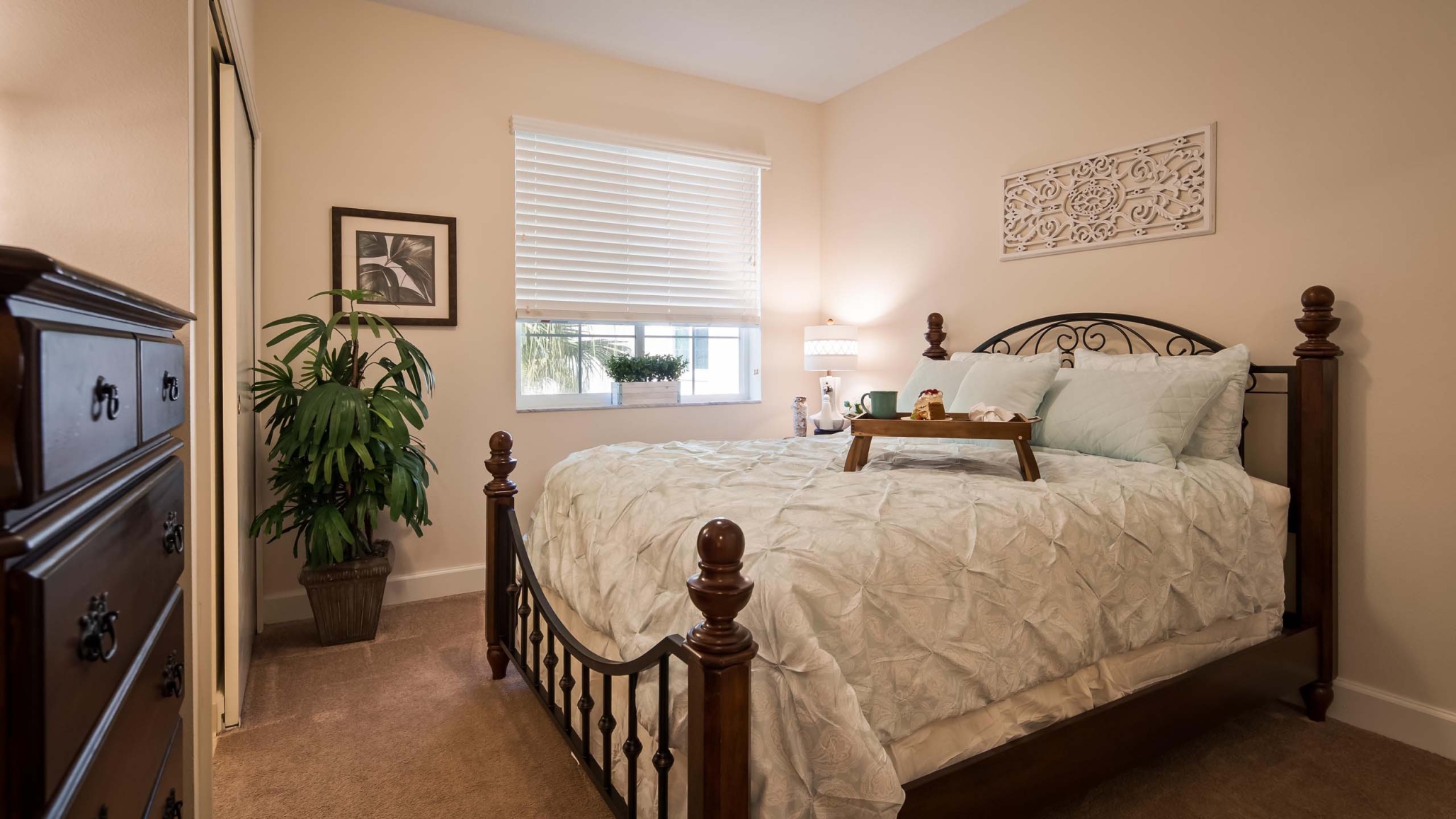 The Windsor of Palm Coast, Palm Coast, FL 15