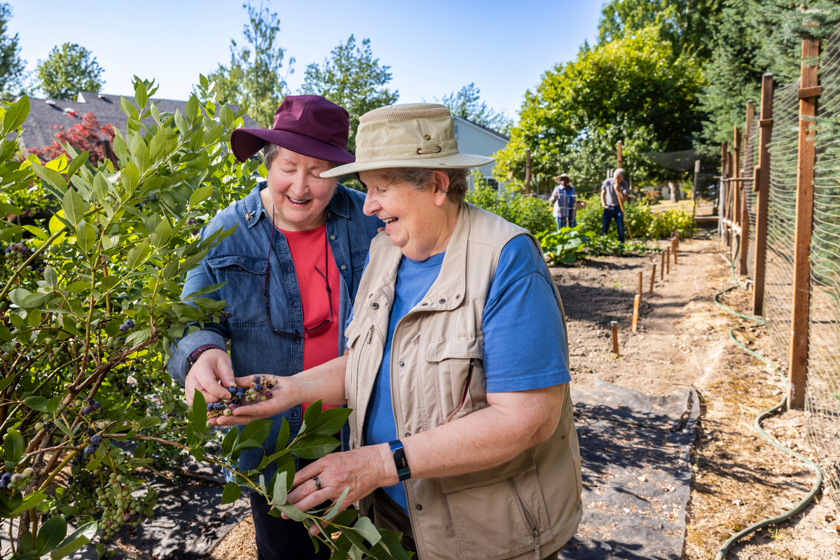 Hillside, McMinnville, OR 8