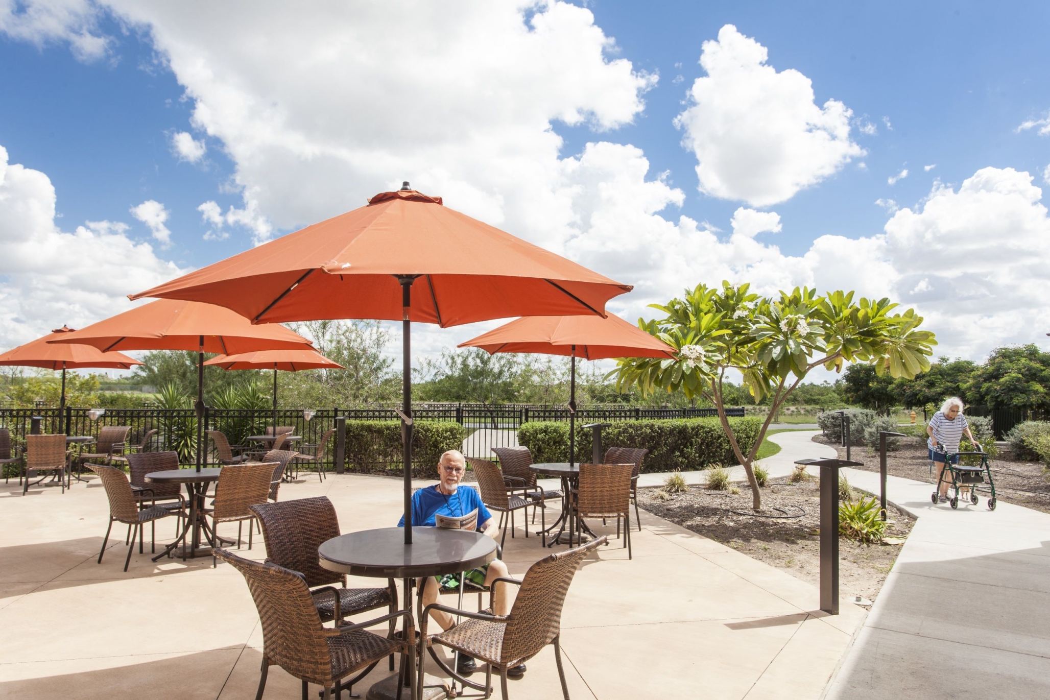 The Gardens at Brook Ridge, Pharr, TX 5