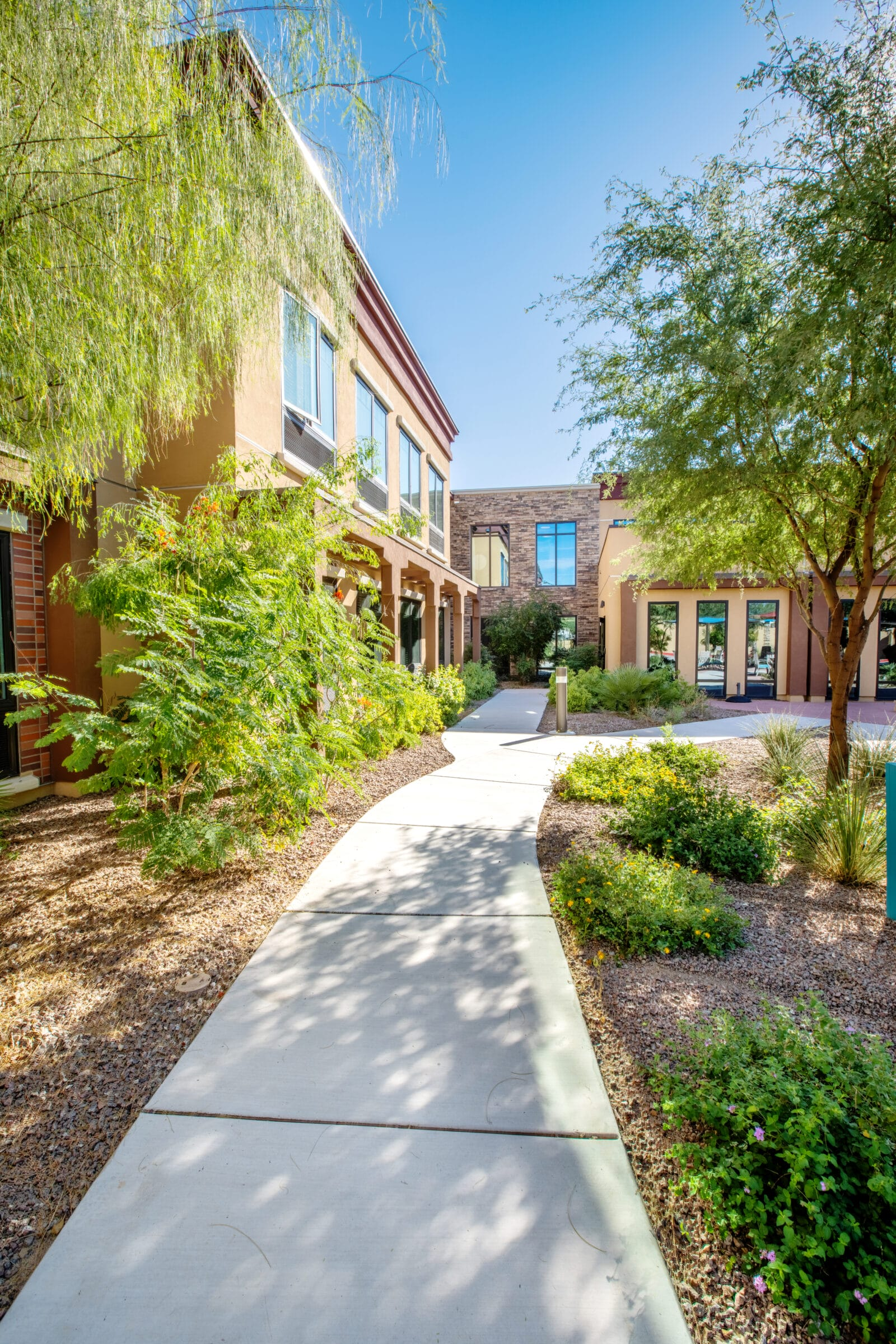 The Ironwood at Oro Valley, Oro Valley, AZ 4