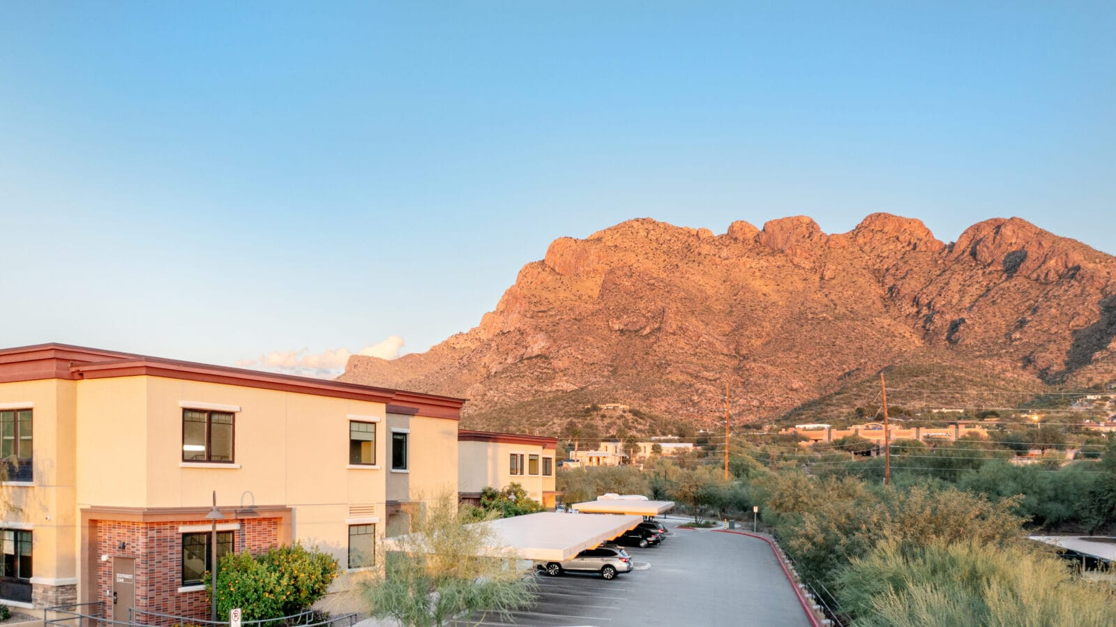 The Ironwood at Oro Valley, Oro Valley, AZ 17