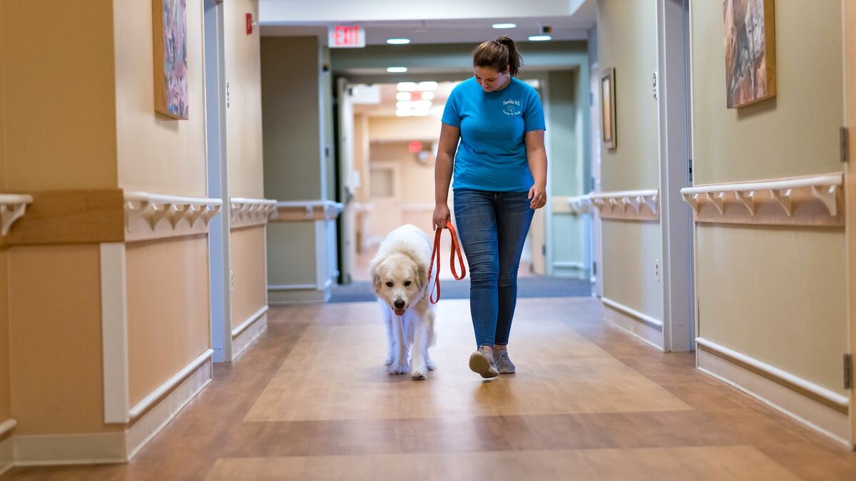 Kingston of Ashland, Ashland, OH 16