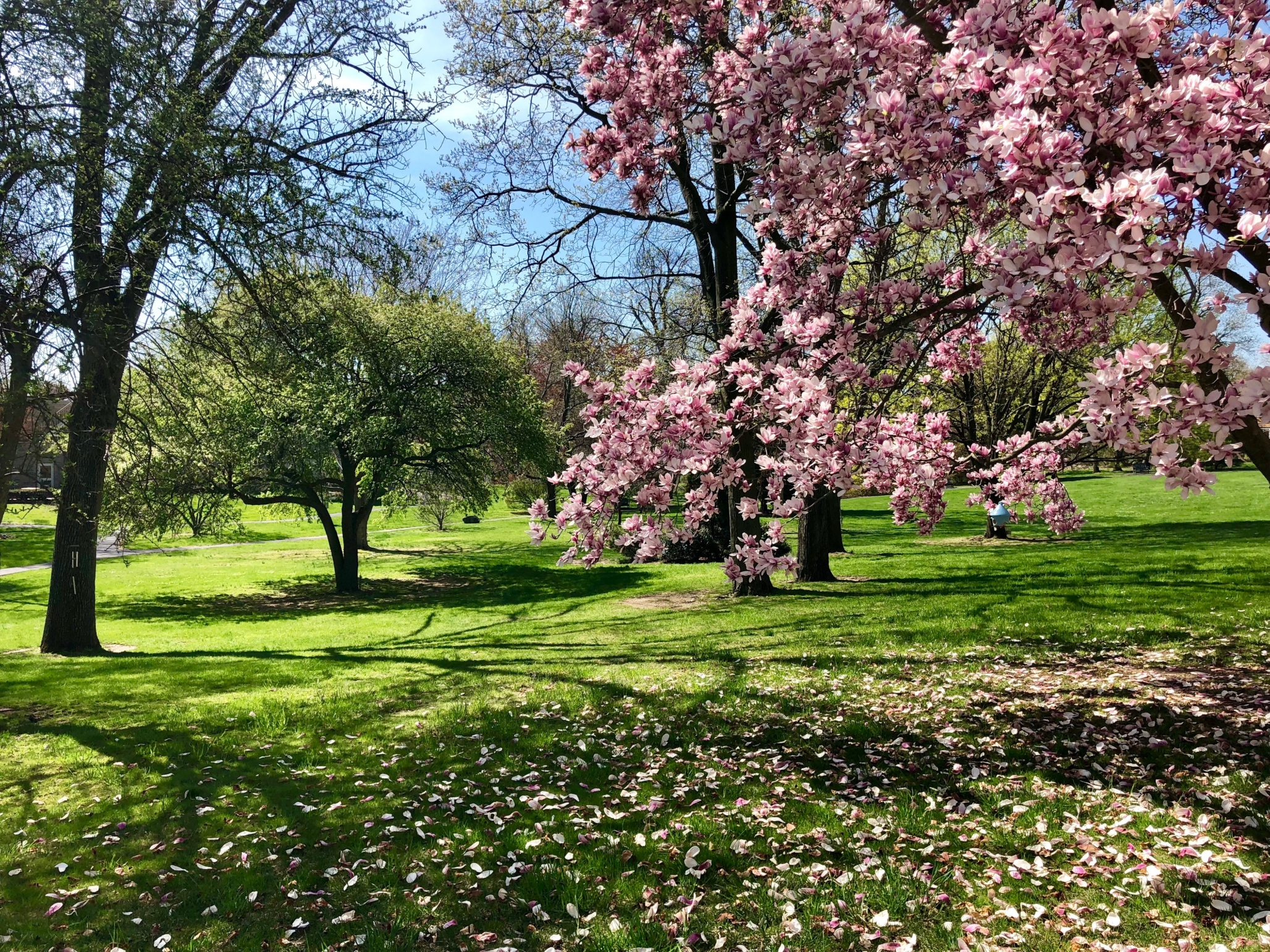3030 Park by Senior Living Hospitality, Bridgeport, CT 10