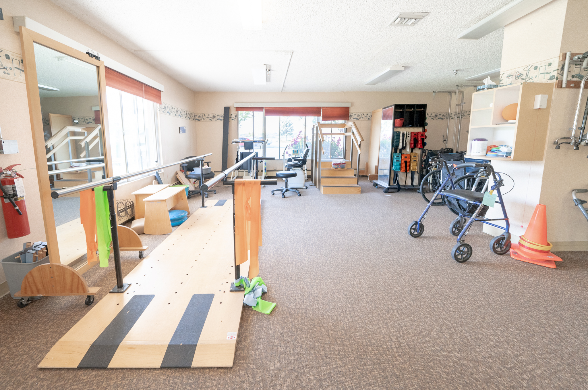 Willow Tree, Delta, CO 5