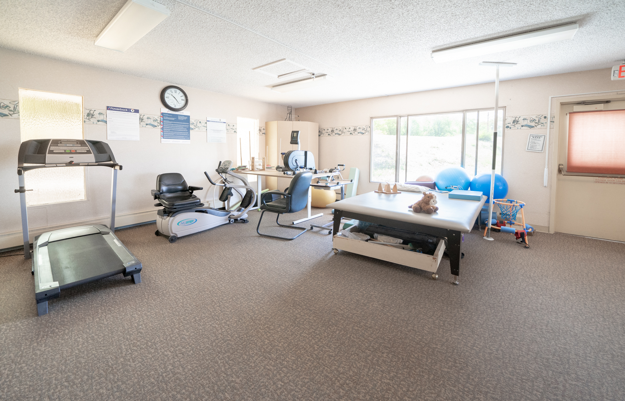 Willow Tree, Delta, CO 7