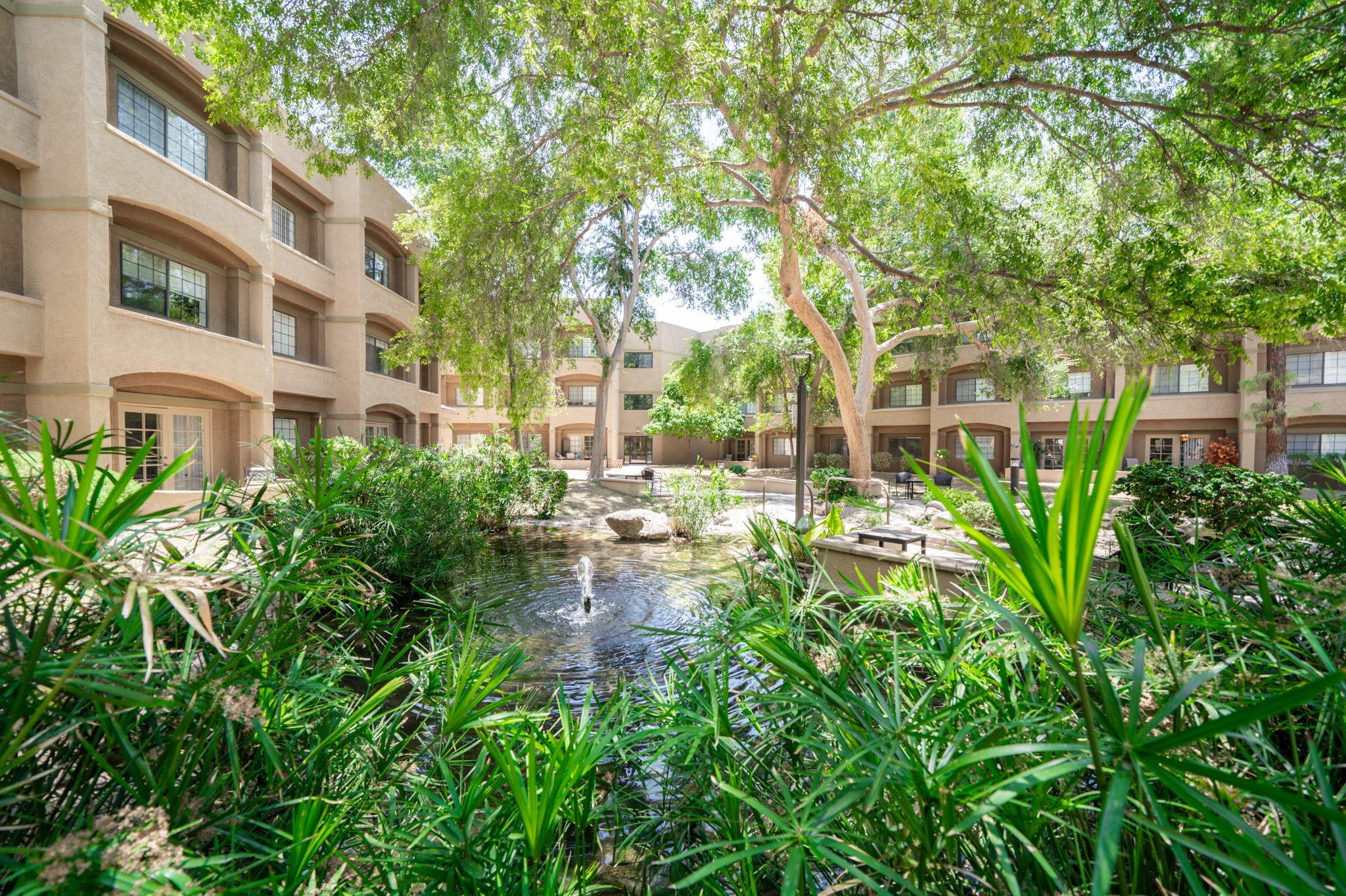 Thunderbird, Glendale, AZ