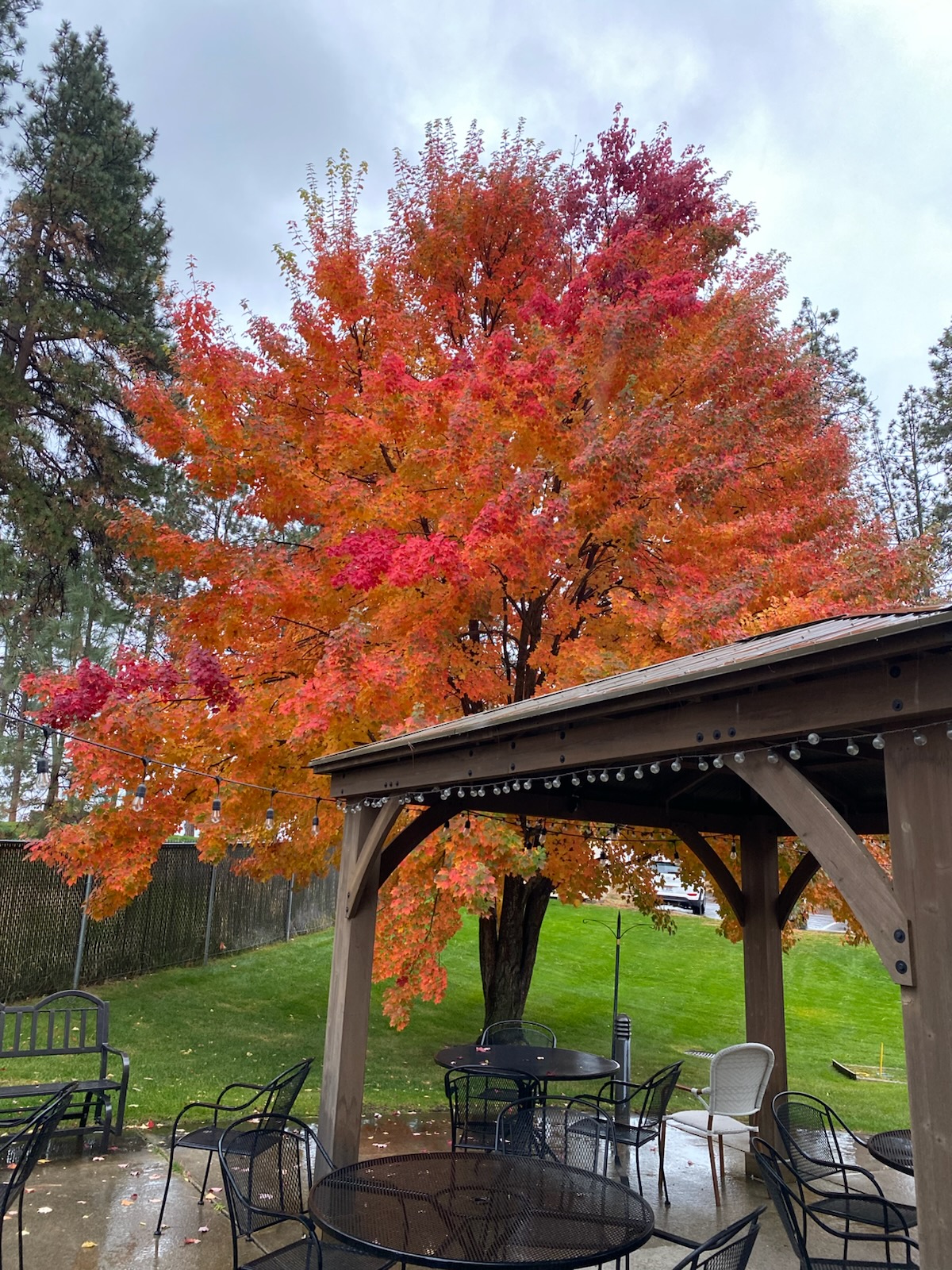 North Star, Coeur d'Alene, ID 7