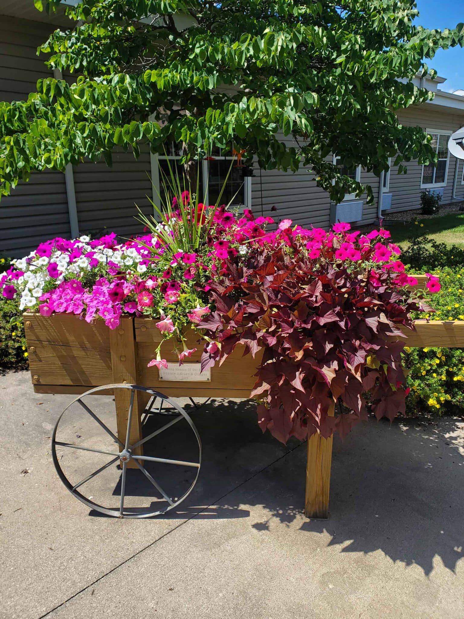 Windsor Manor Vinton, Vinton, IA 2