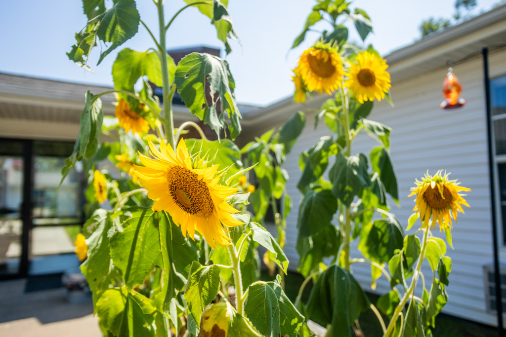 Fox Ridge Bryant, Bryant, AR 13