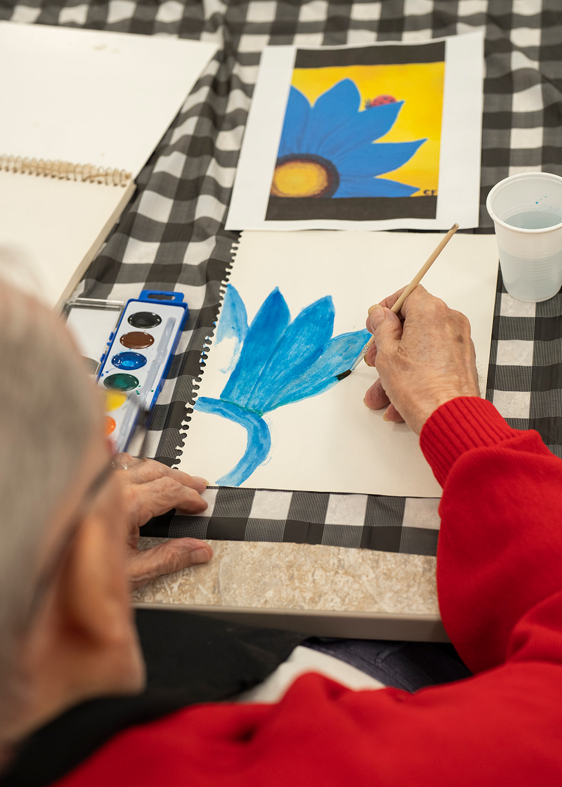 Shadow Mountain Memory Care, Phoenix, AZ 50