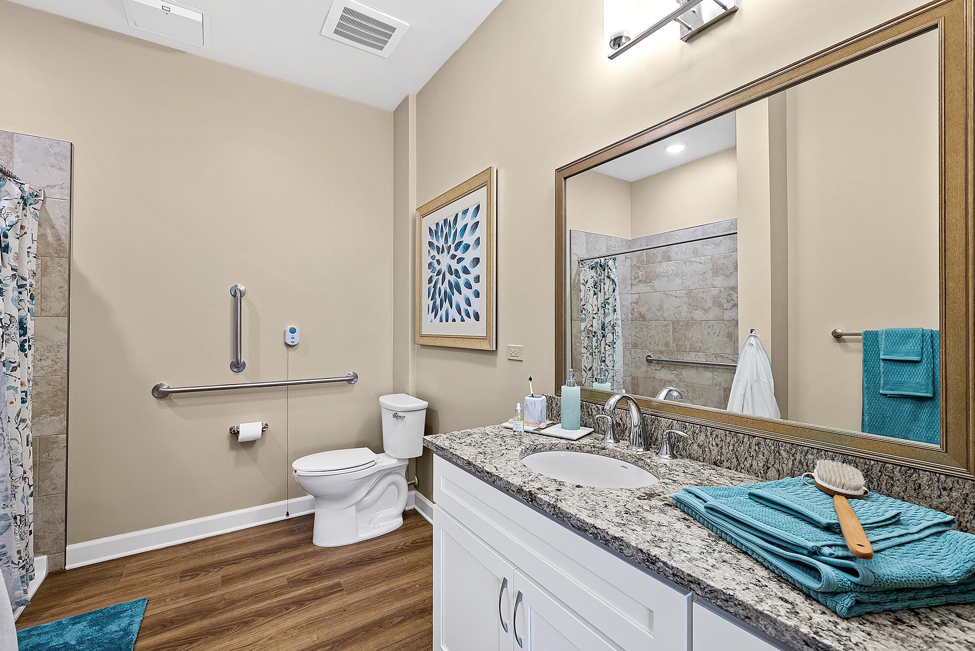 The Meridian at Carolina Lakes, Indian Land, SC 17
