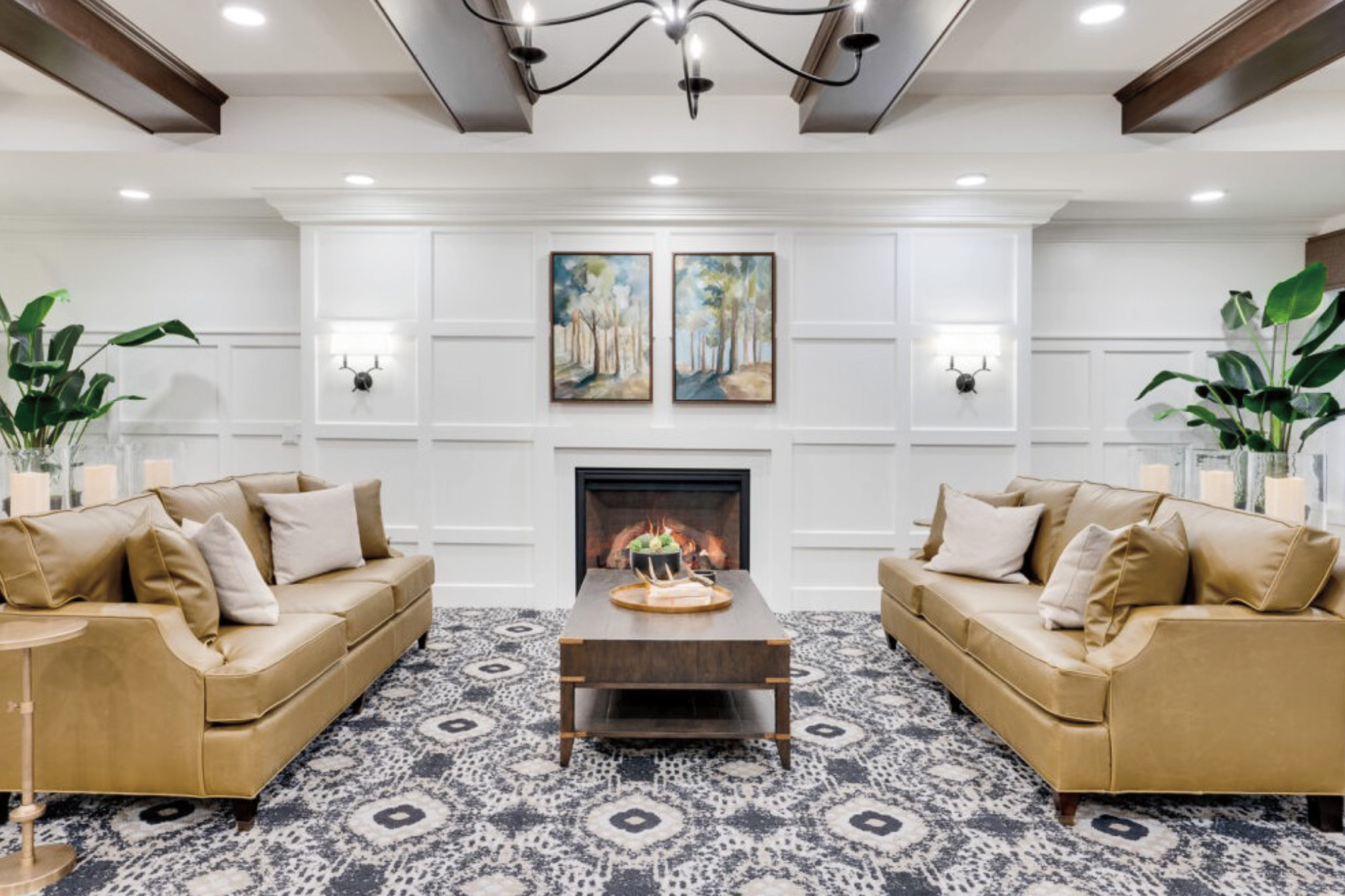 Amira Roseville, Roseville, MN 3