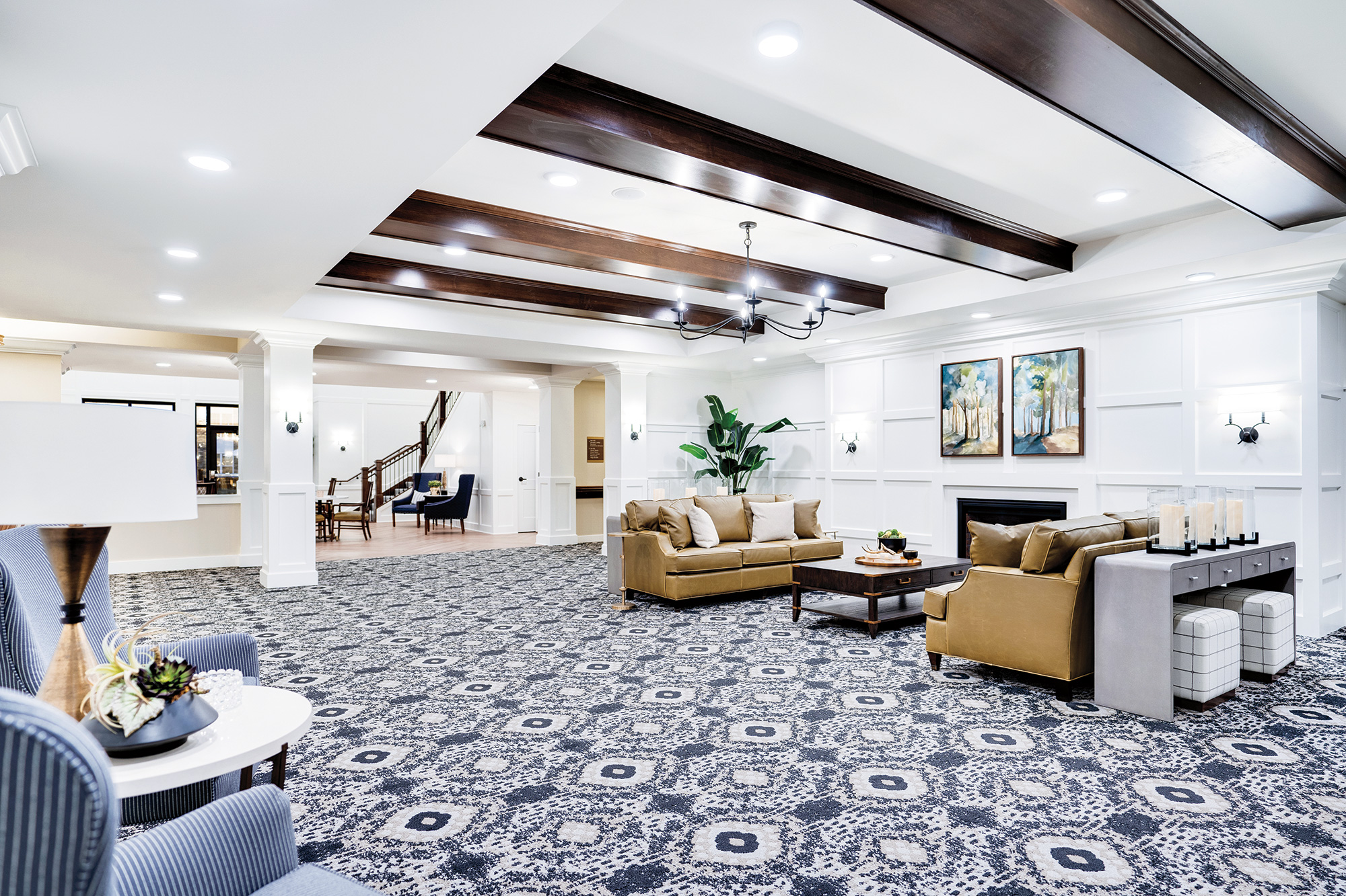 Amira Roseville, Roseville, MN 2