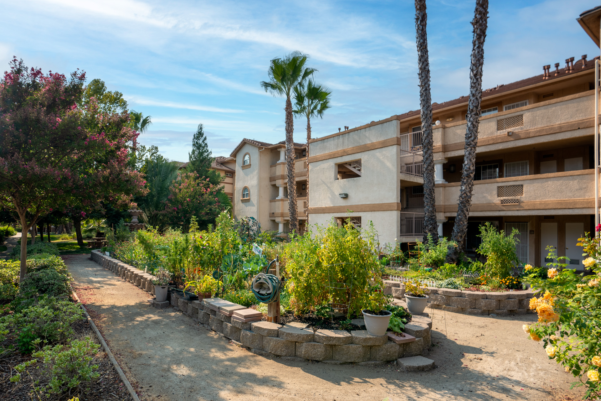 Carefree Senior Apartments – Sacramento, Sacramento, CA 3