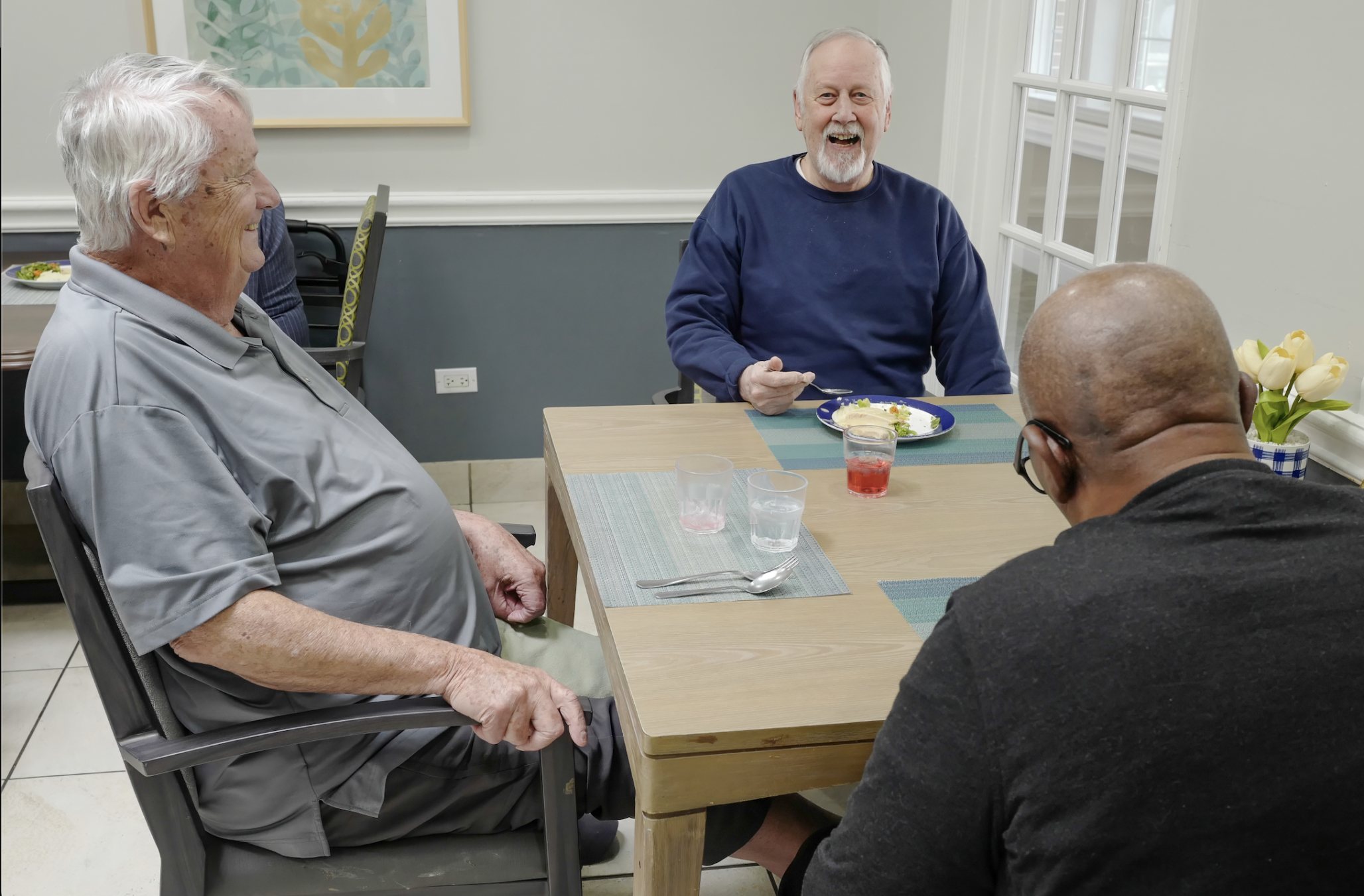 Aspen Woods of Vernon Hills, Vernon Hills, IL 4