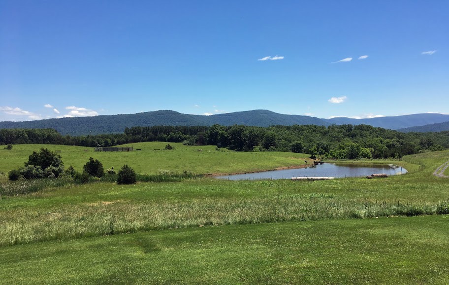 Shenandoah Senior Living, Front Royal, VA 5