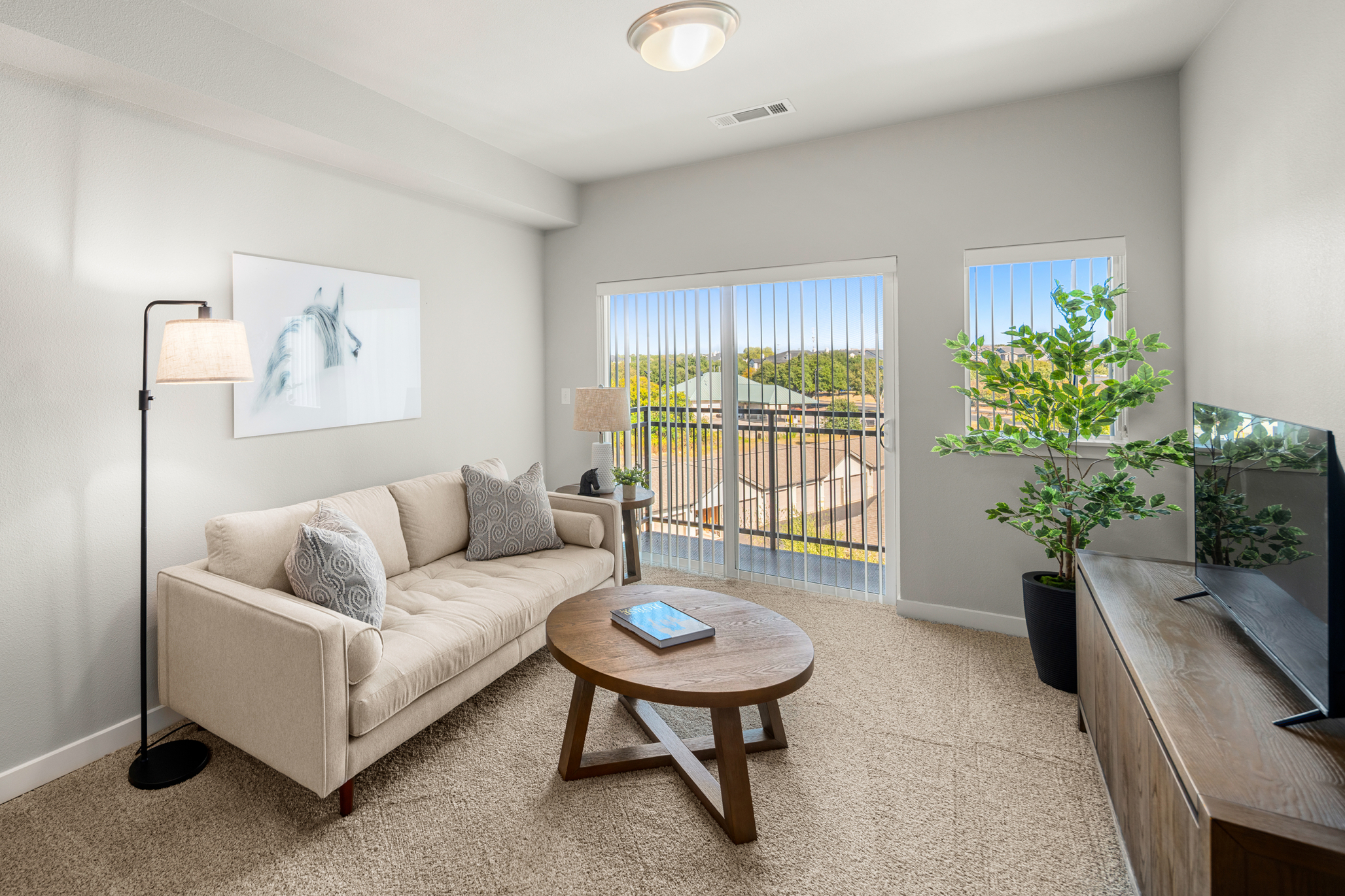 Affinity at Wells Branch, Austin, TX 39