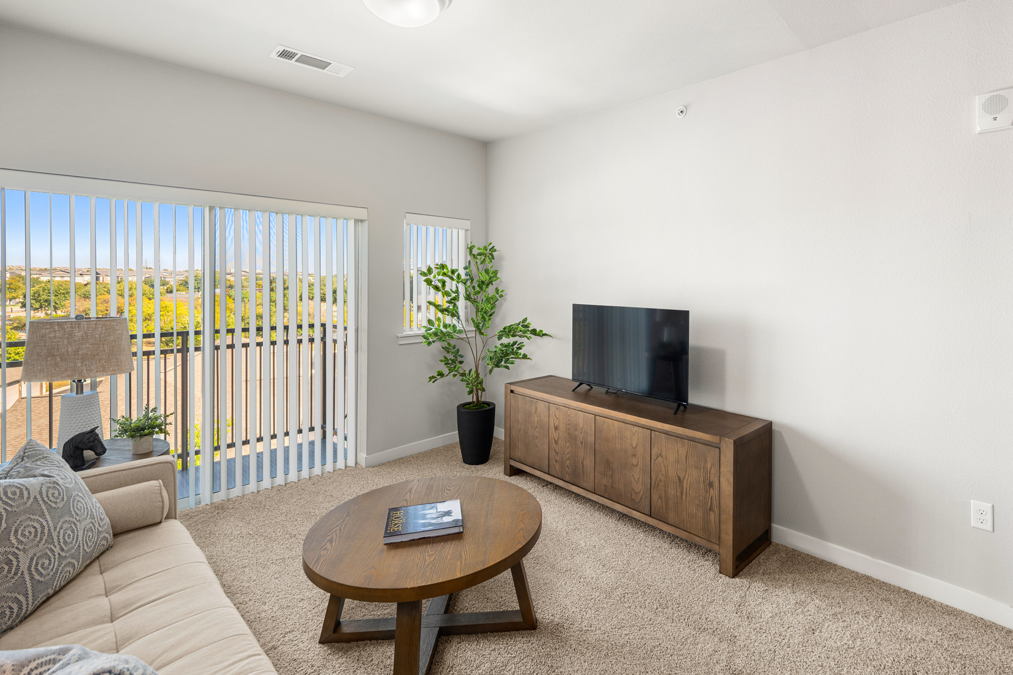 Affinity at Wells Branch, Austin, TX 38