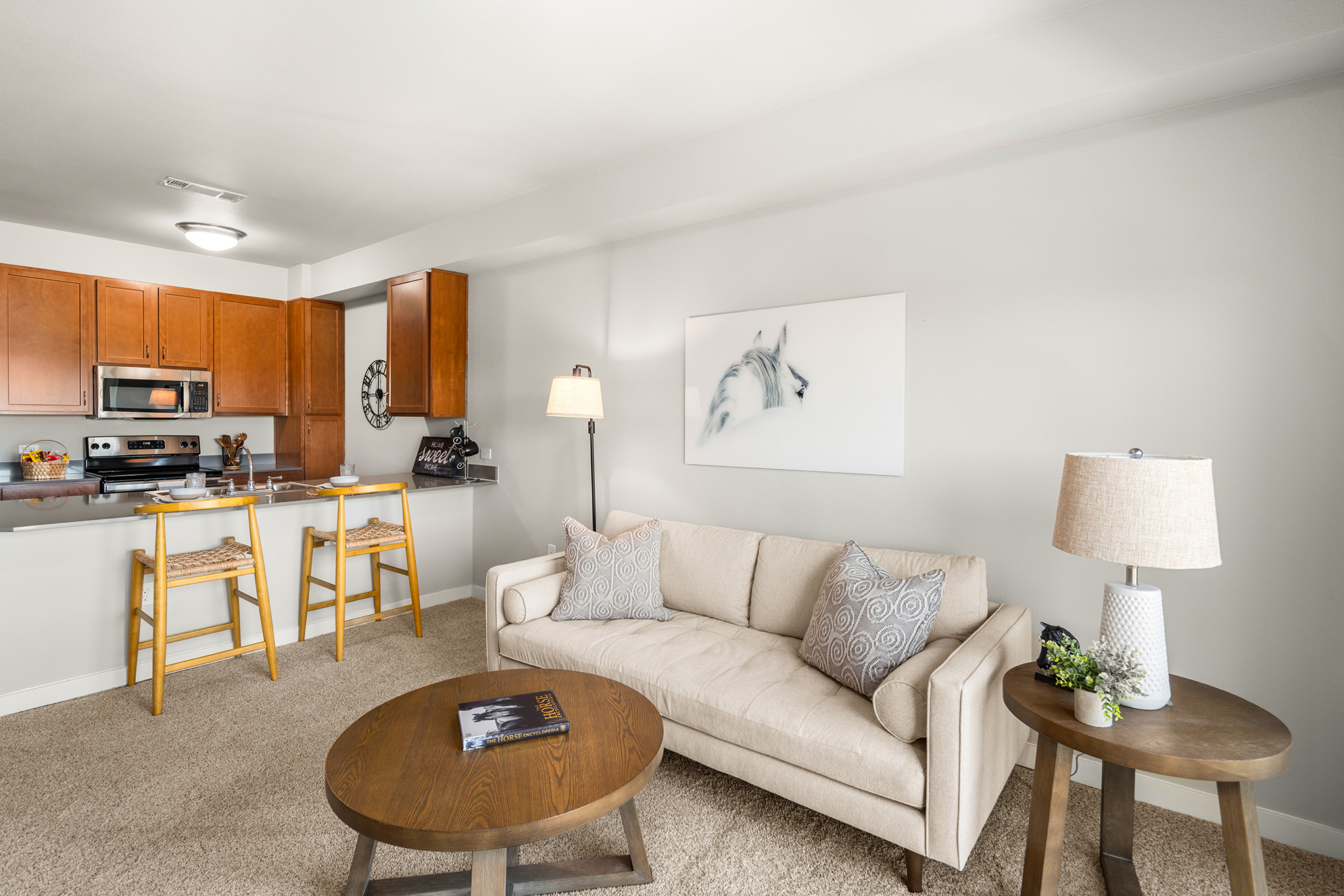 Affinity at Wells Branch, Austin, TX 29