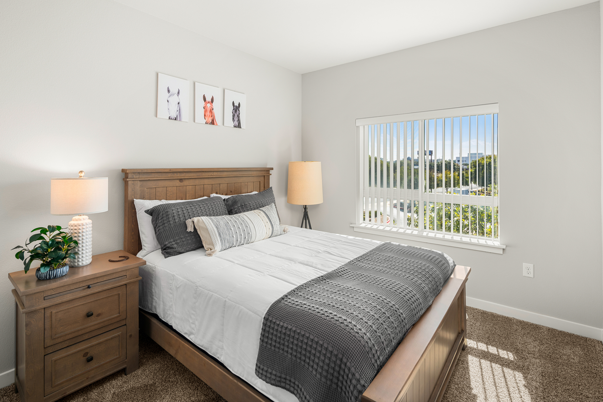 Affinity at Wells Branch, Austin, TX 25