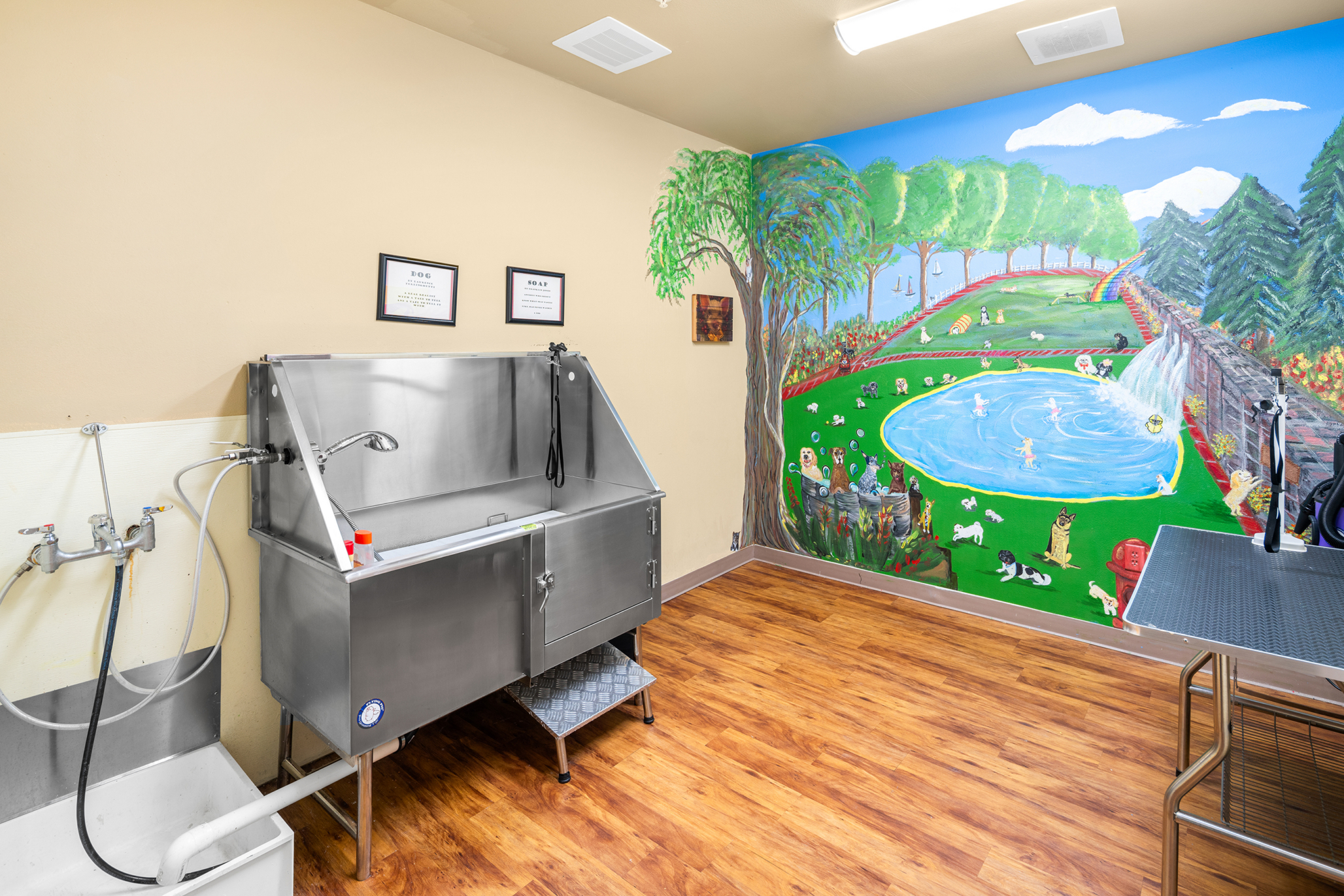 Affinity at Wells Branch, Austin, TX 21