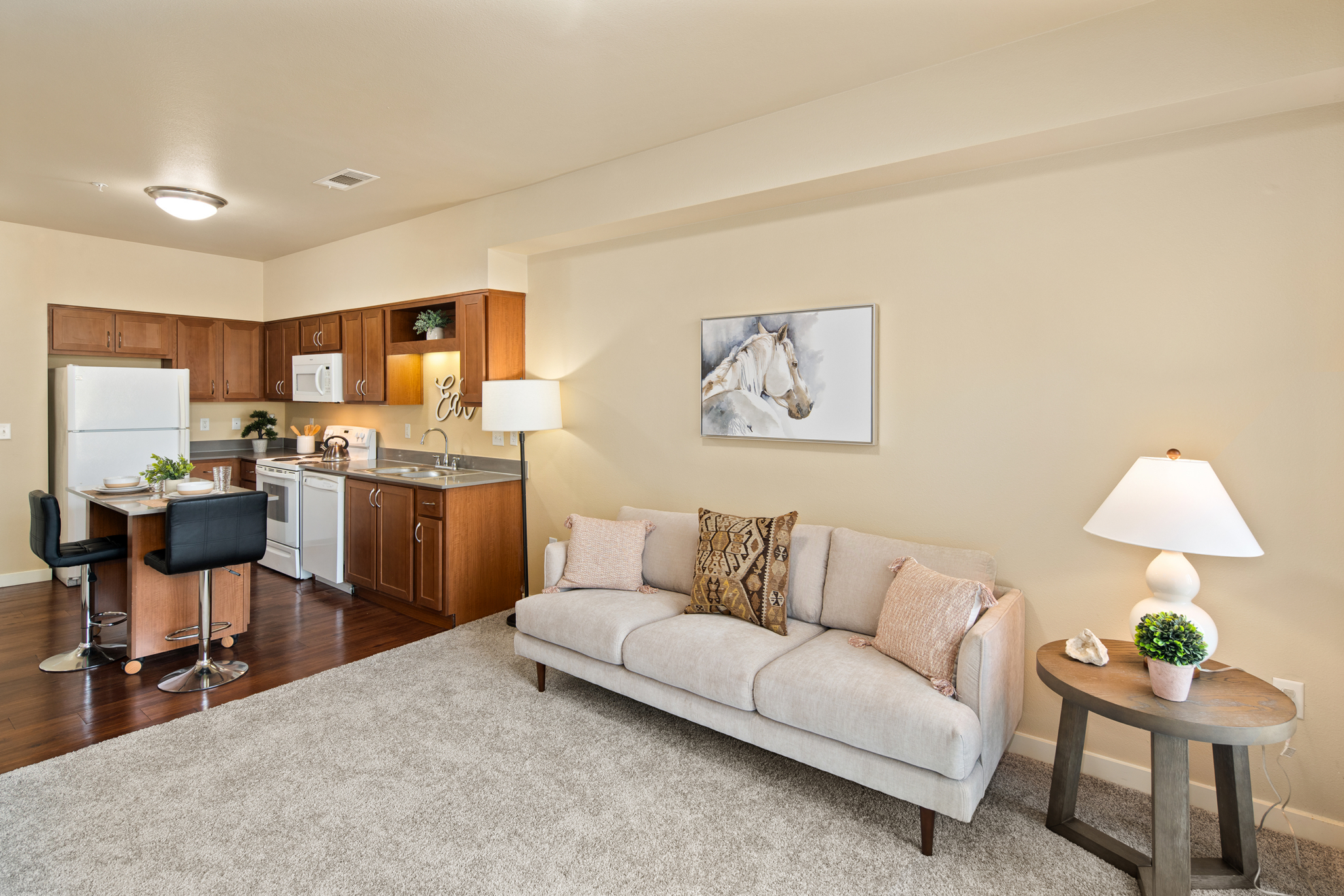 Affinity at Monterrey Village, San Antonio, TX 12
