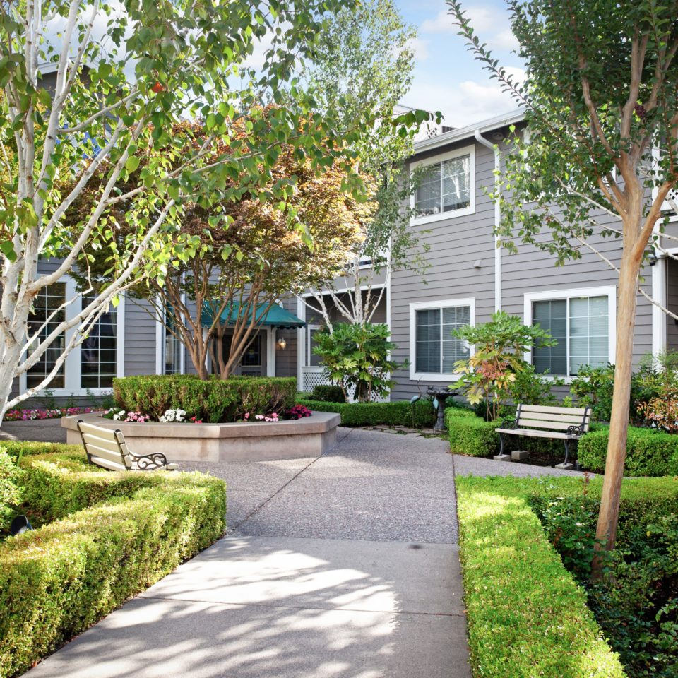 Ivy Park at San Ramon, San Ramon, CA 2