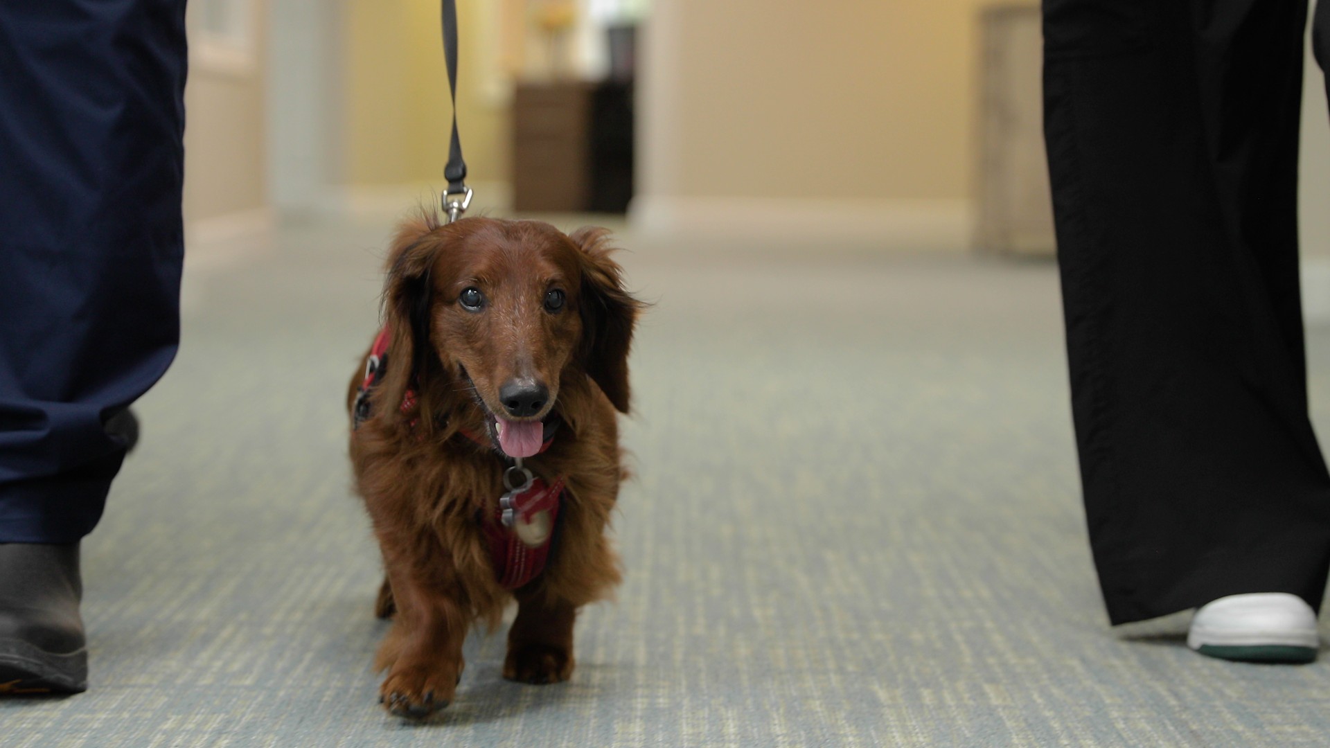 Dublin Glenn Memory Care, Dublin, OH 23