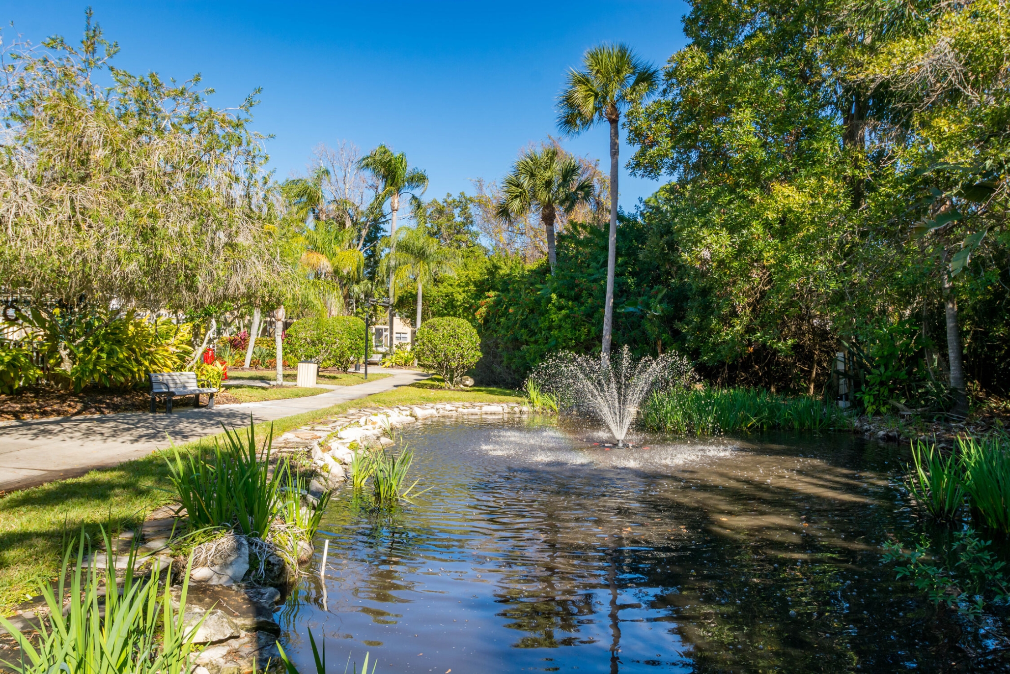 Imperial Palms Apartments, Largo, FL 3