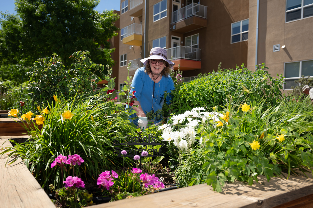 Neighborhood at Rio Rancho, Rio Rancho, NM 5