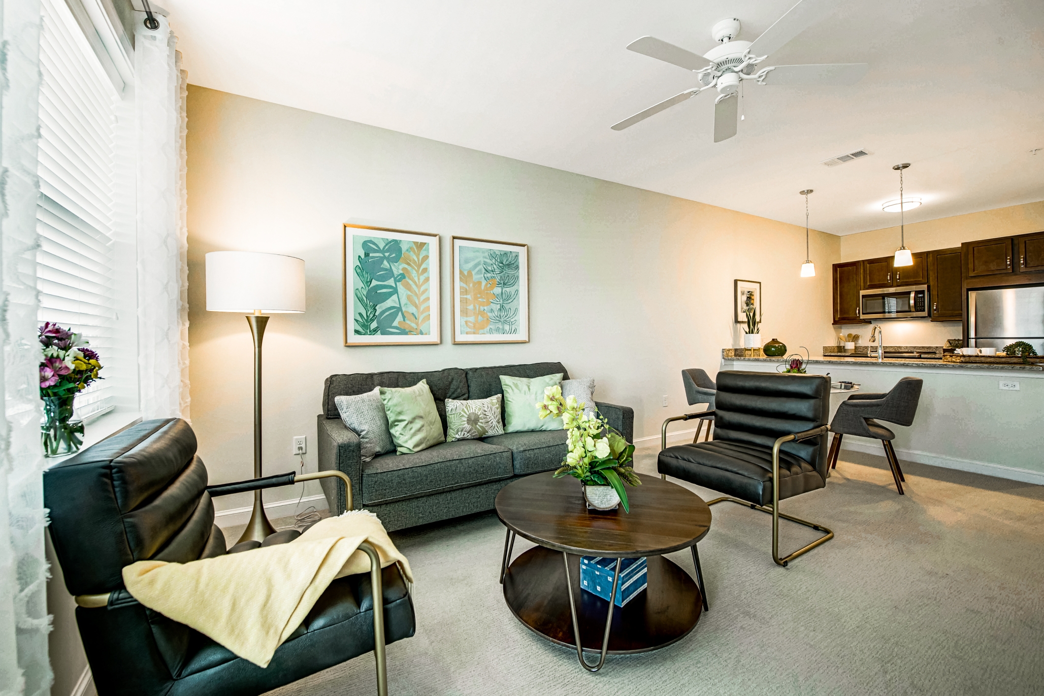 Discovery Village Trinity, Trinity, FL 7