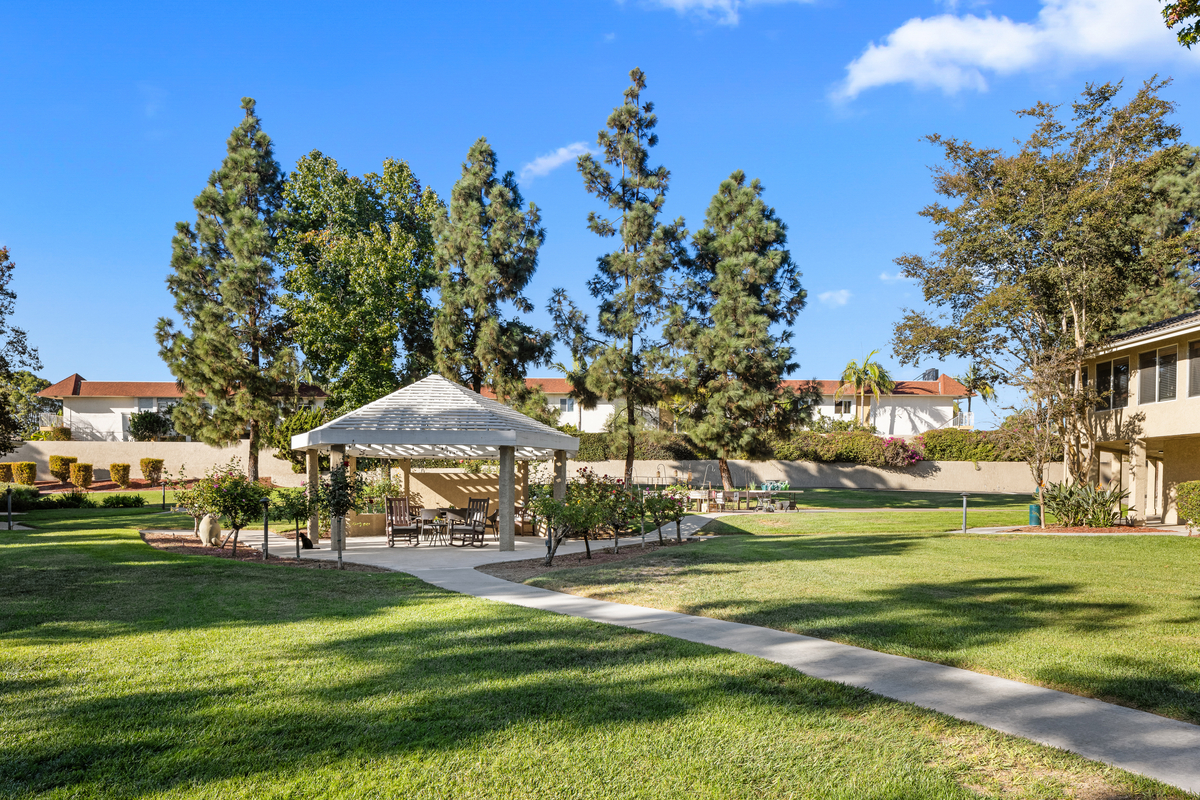 Arcadia Place, Vista, CA 3