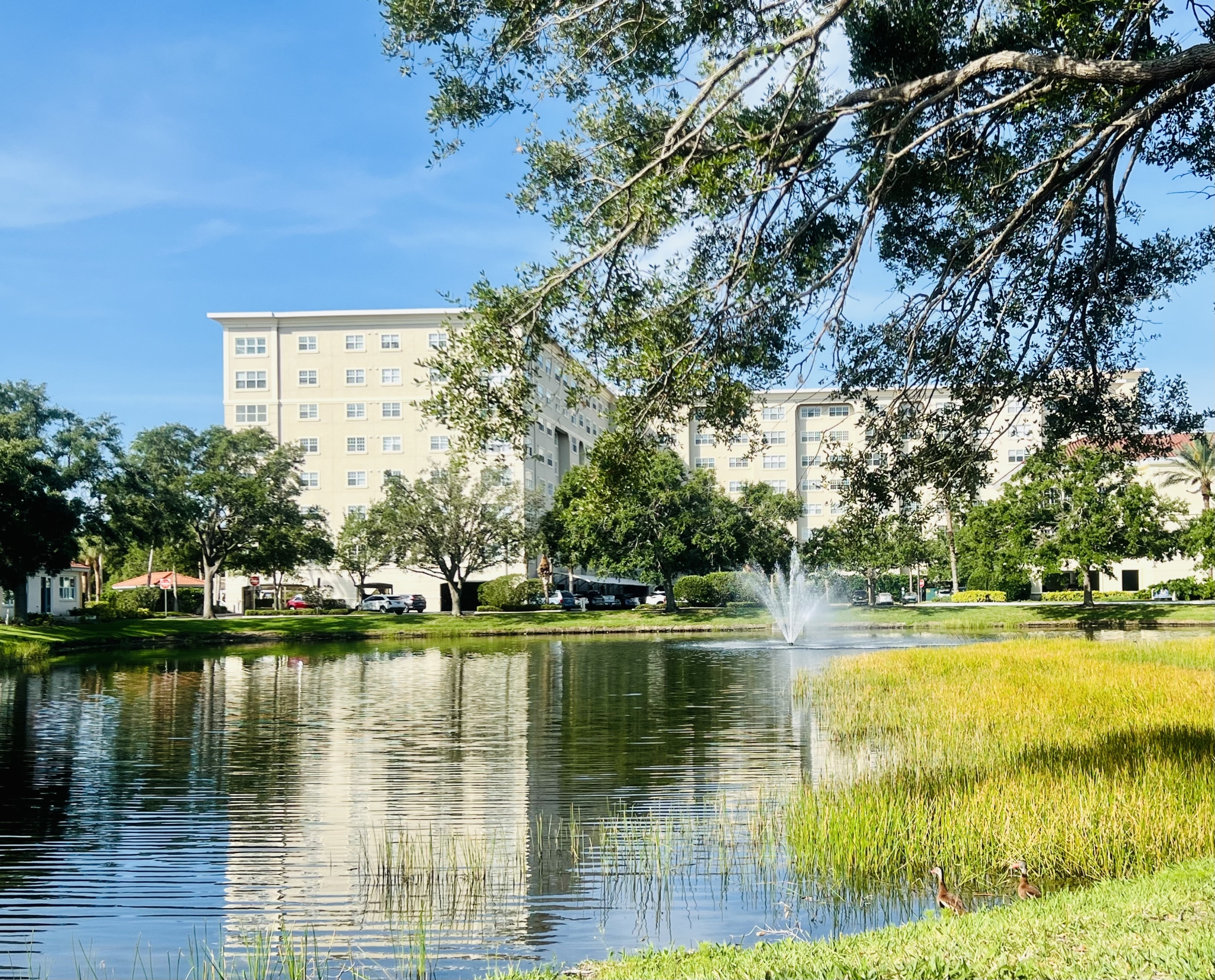 Jacaranda Trace, Venice, FL 10