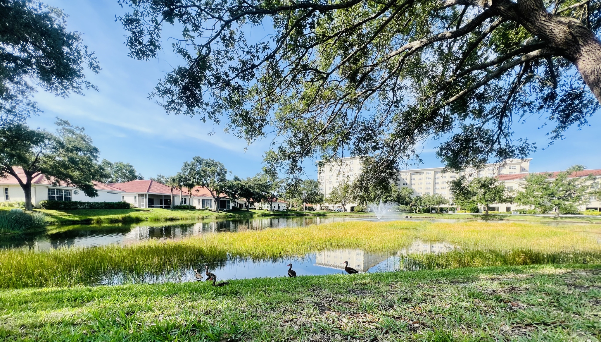 Jacaranda Trace, Venice, FL 13