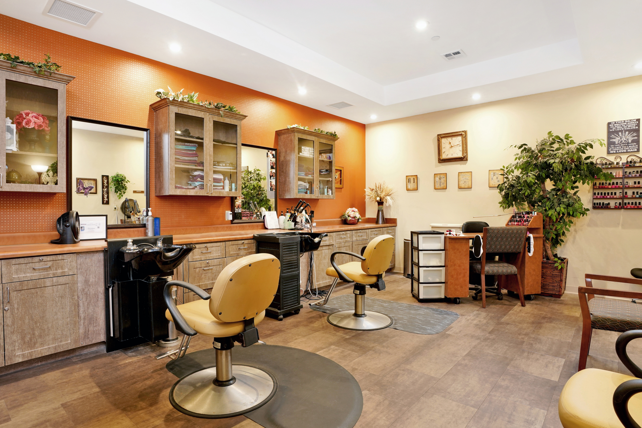 Sky Vista, Mesa, AZ 14