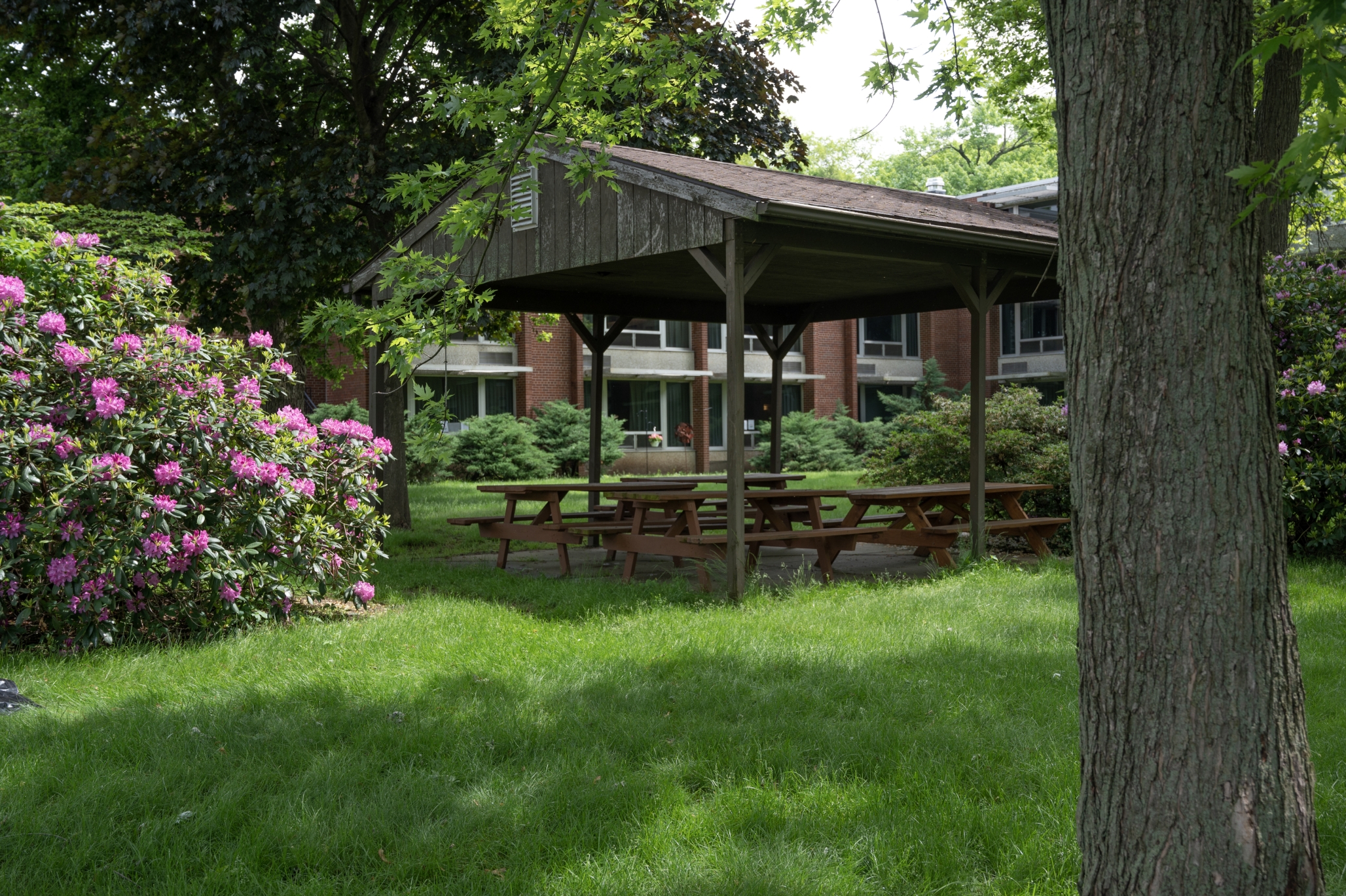 The Chapel Hill Community, Canal Fulton, OH 3