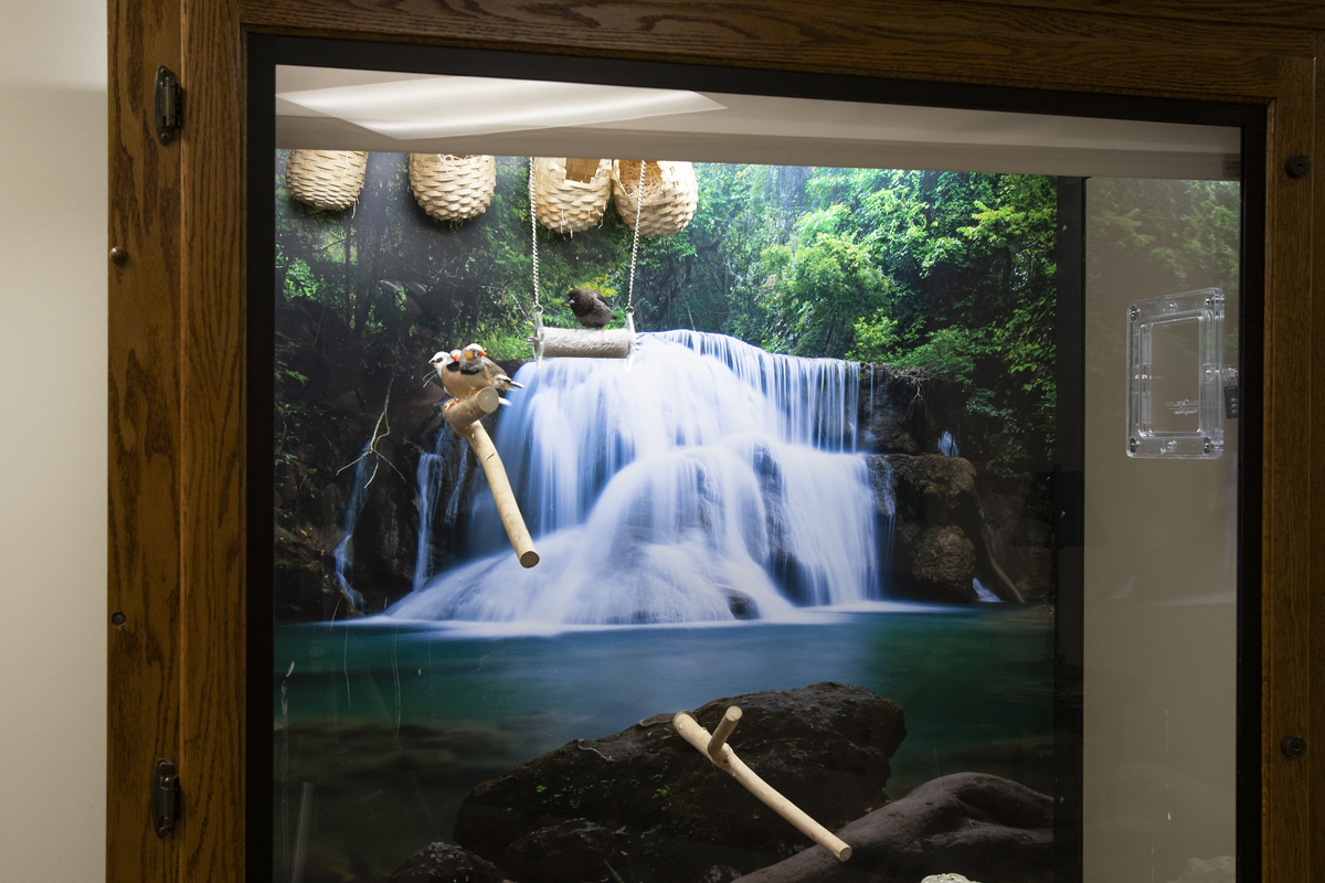 Independence Village of Midland, Midland, MI 67