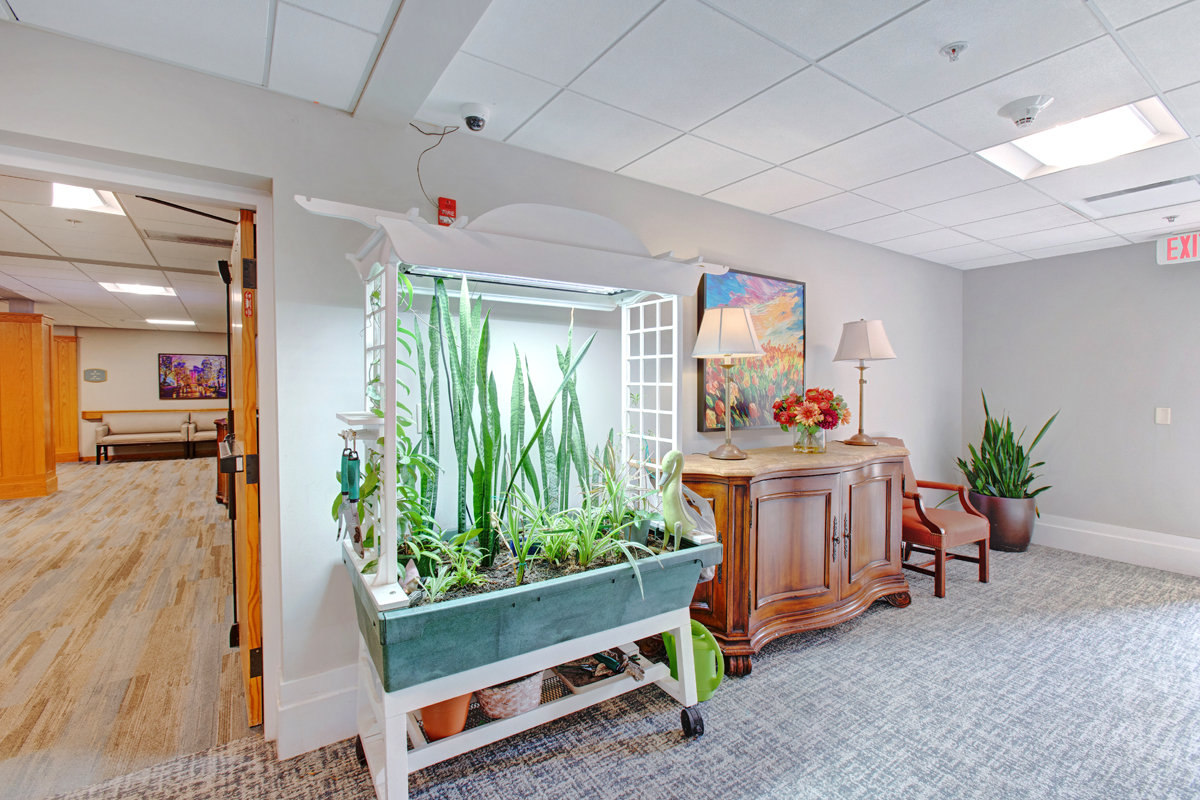 StoryPoint Romeoville, Romeoville, IL 62